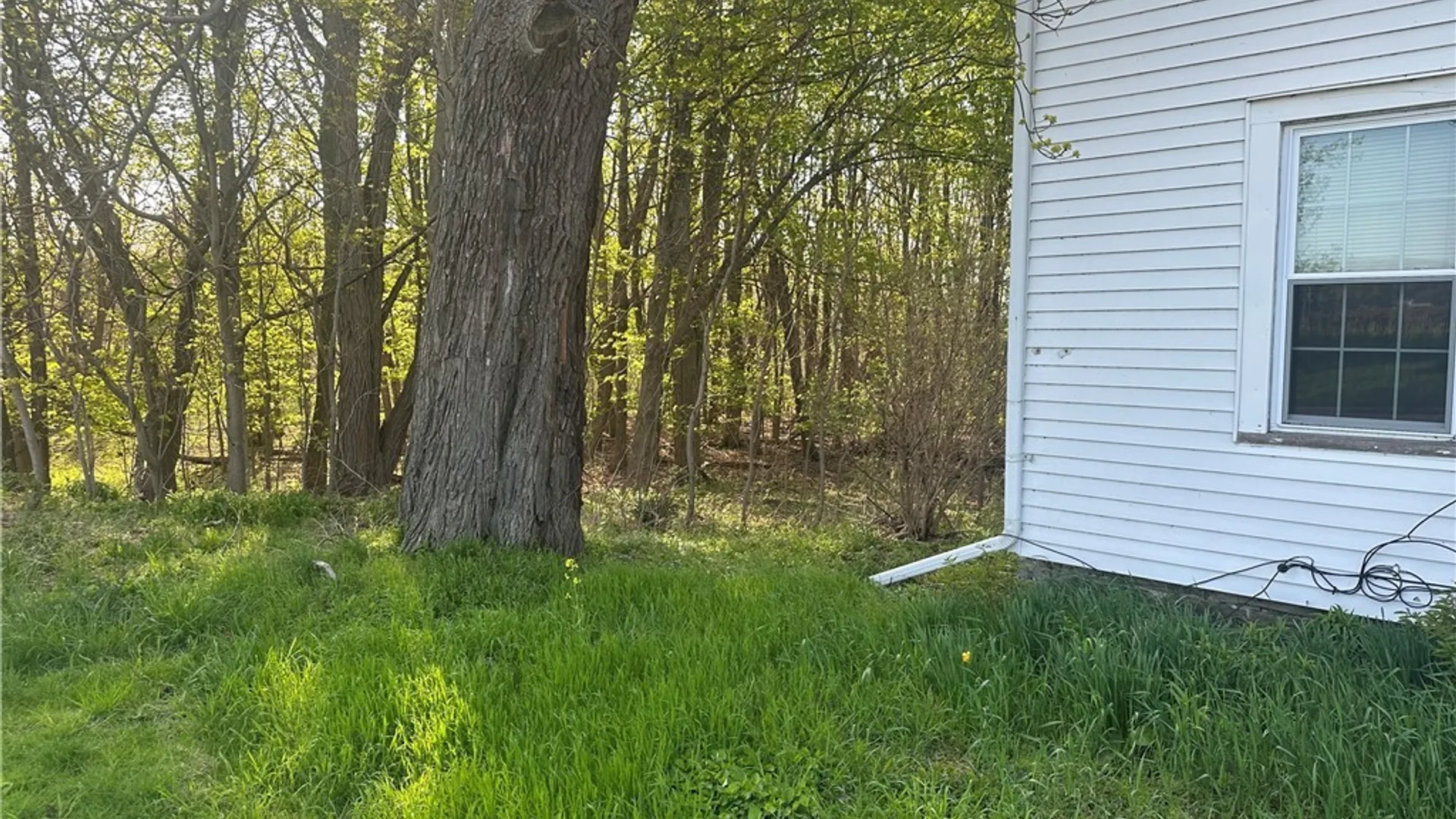 Property at 329 E Main St, Westfield, NY 14787 16