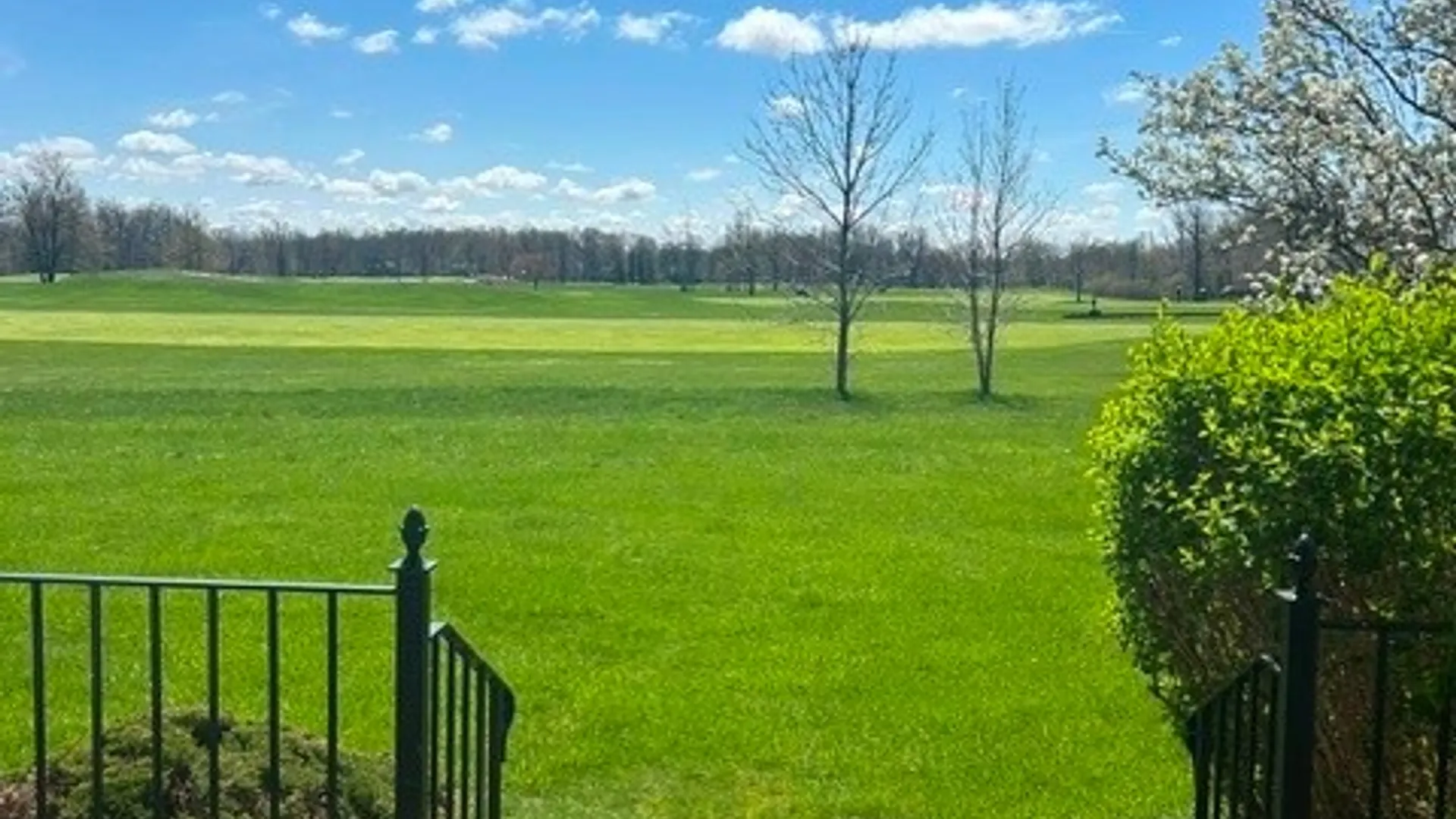 Property at 41 Tralee Terrace, Amherst, NY 14051 16