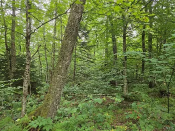 Property at 000 William Ernst Road, Lewis, NY 12950