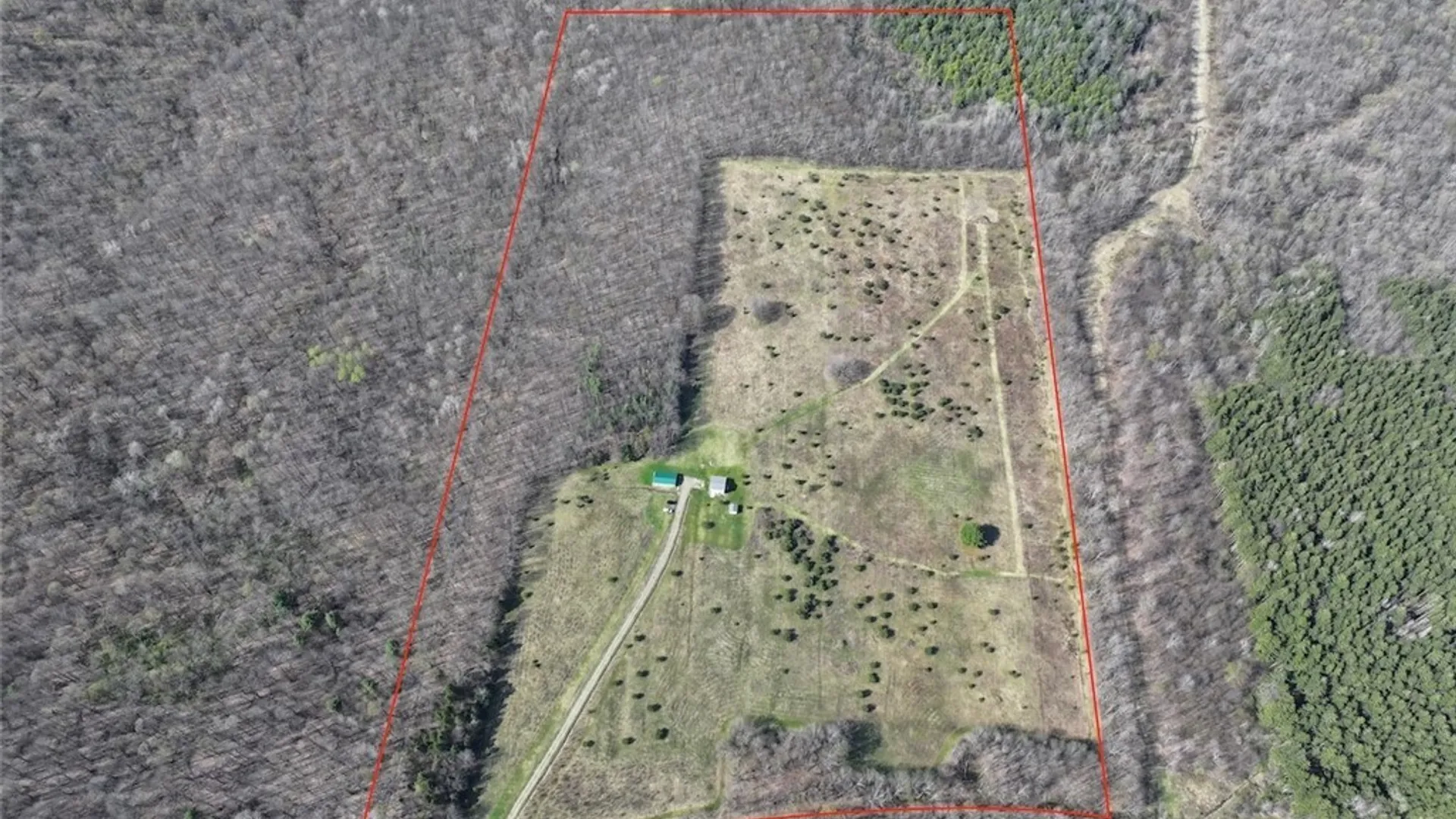 Property at 578 Clark Road, Lyndon, NY 14737 2