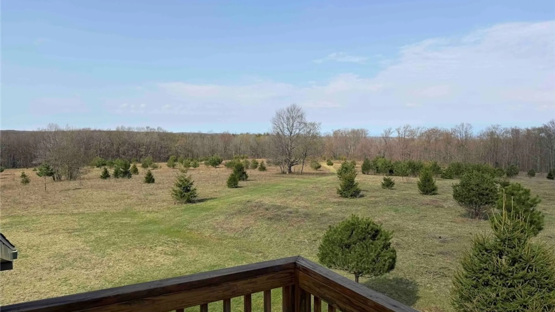 Property at 578 Clark Road, Lyndon, NY 14737 28