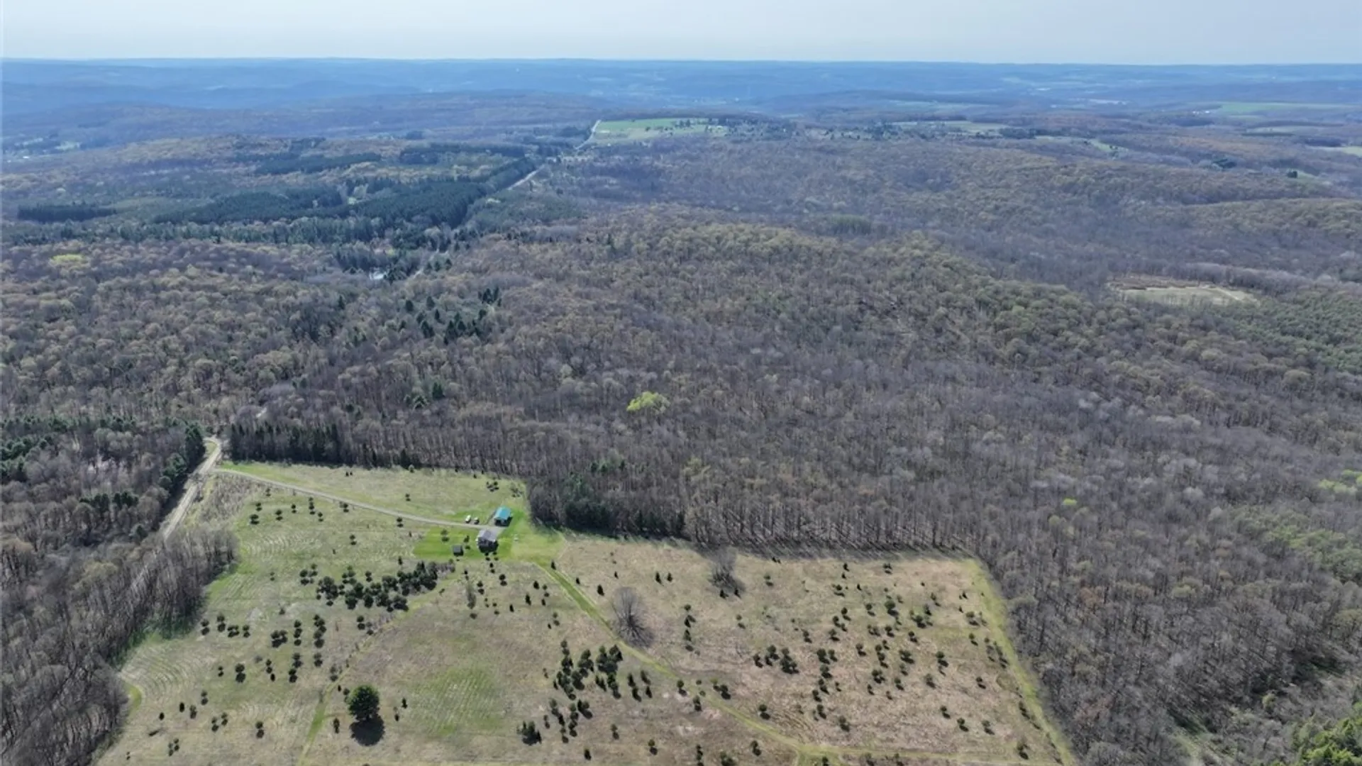 Property at 578 Clark Road, Lyndon, NY 14737 41
