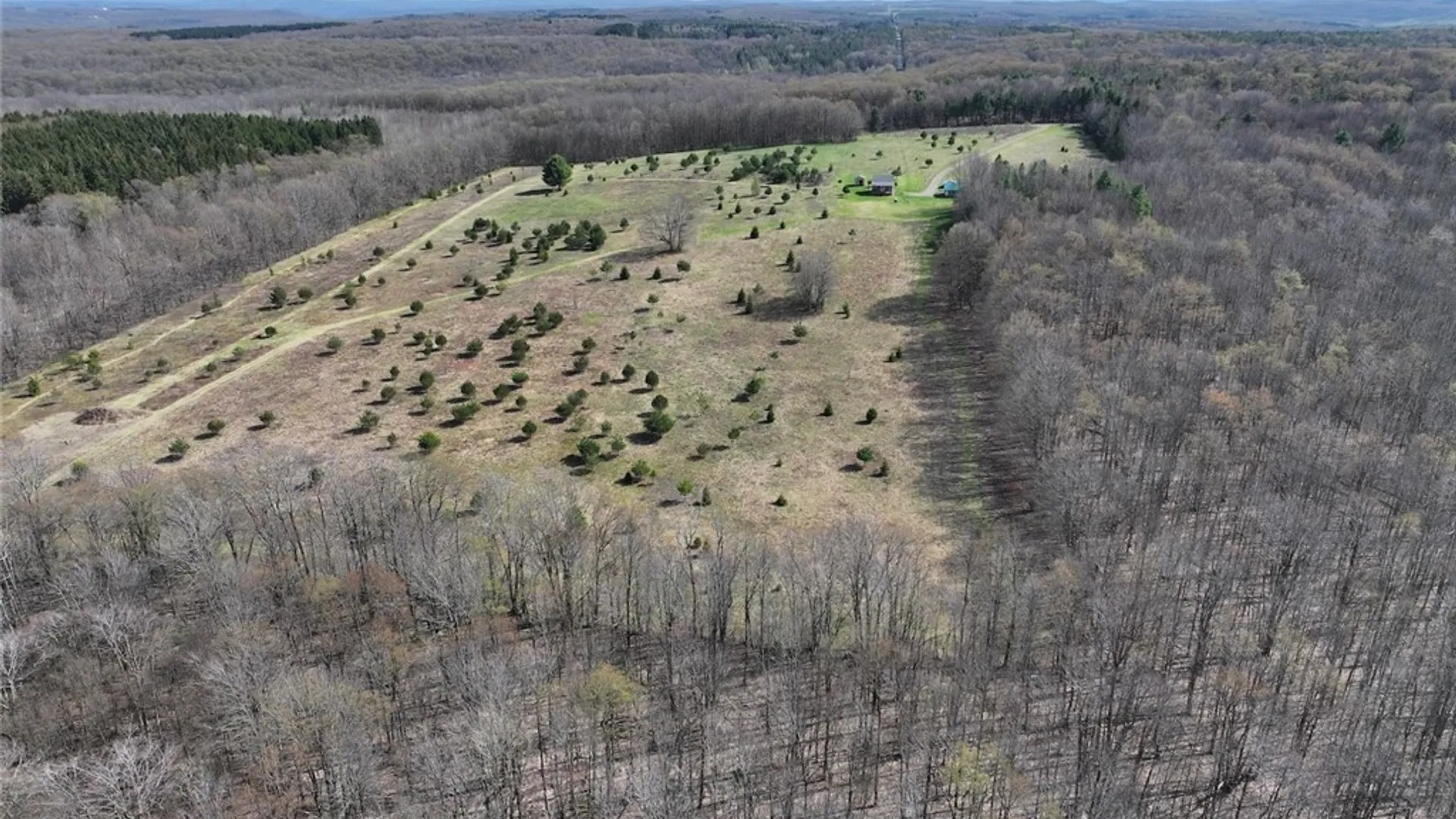 Property at 578 Clark Road, Lyndon, NY 14737 42