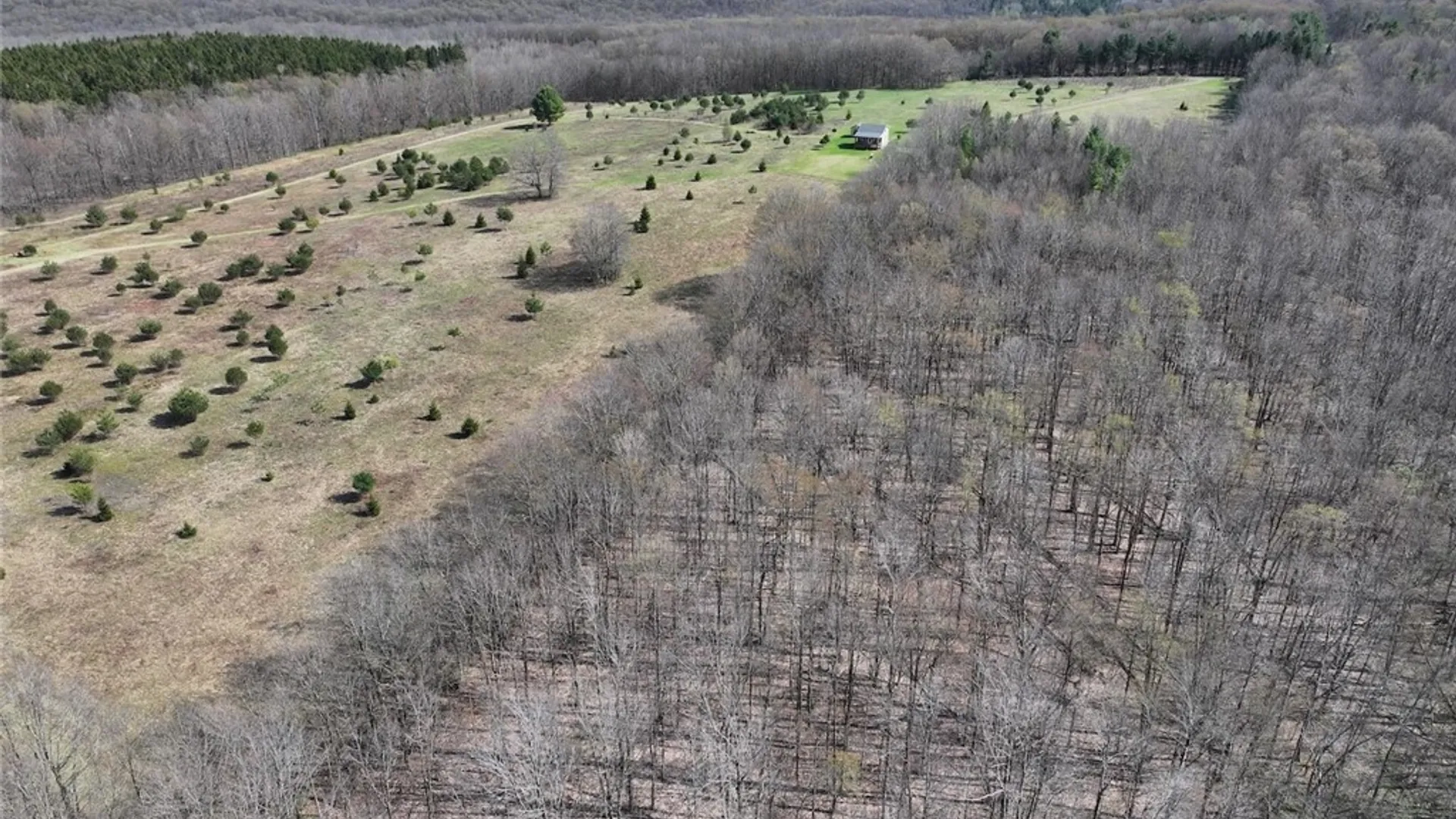 Property at 578 Clark Road, Lyndon, NY 14737 43