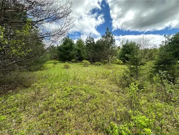 Property at 0 Pine Tree Road, Pittsfield, NY 13411