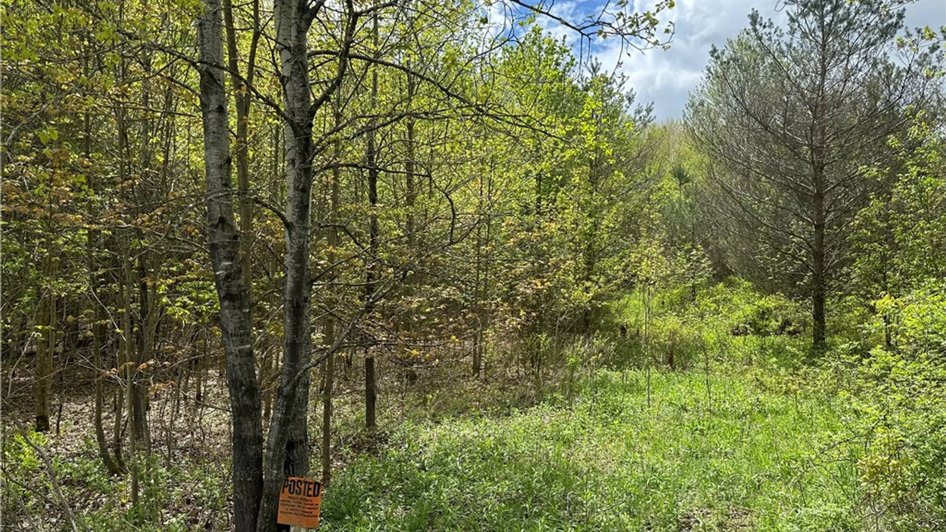 Property at 0 Pine Tree Road, Pittsfield, NY 13411 2