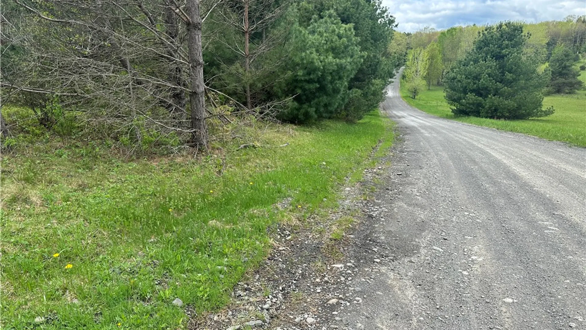 Property at 0 Pine Tree Road, Pittsfield, NY 13411 3