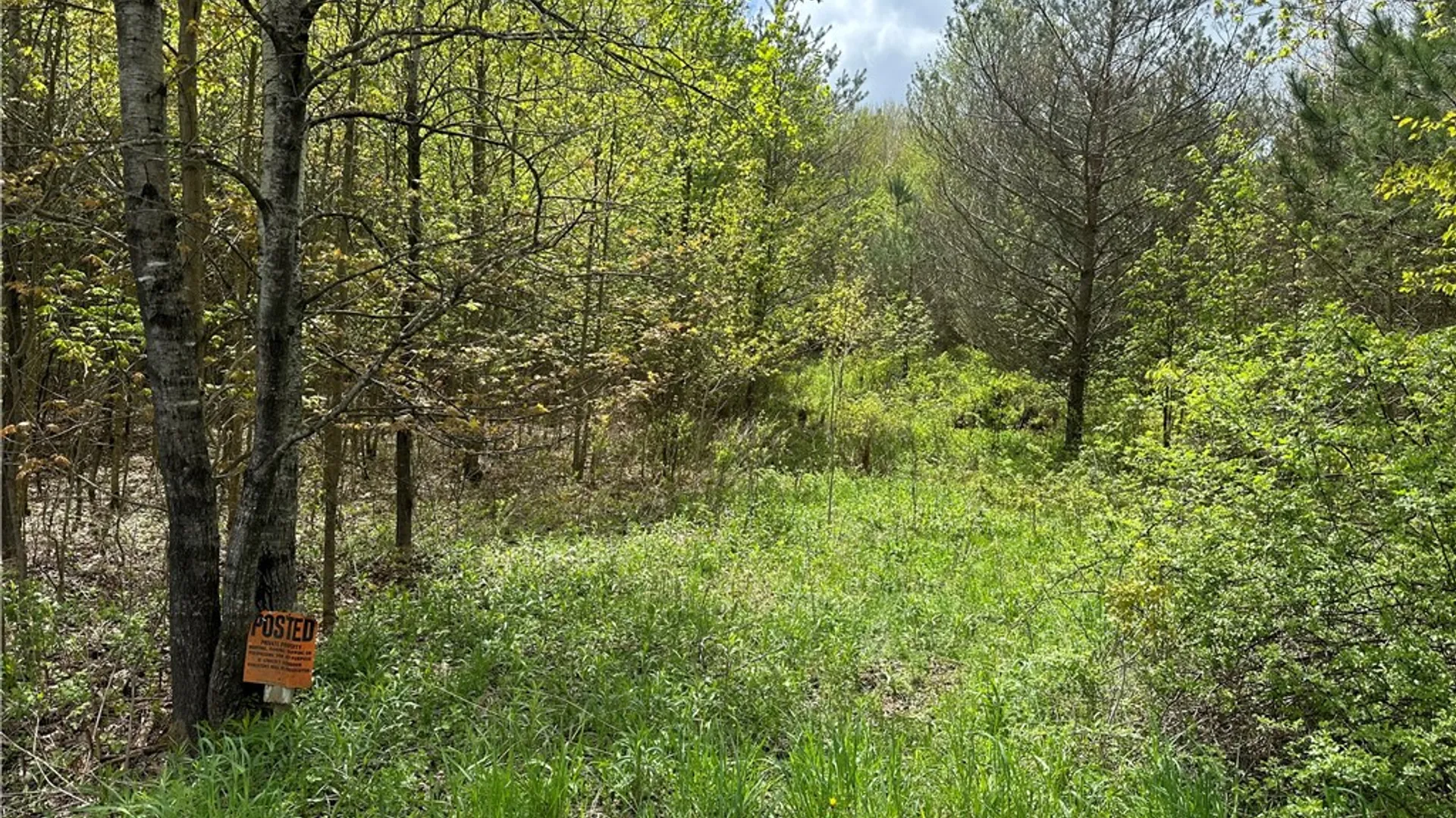 Property at 0 Pine Tree Road, Pittsfield, NY 13411 5