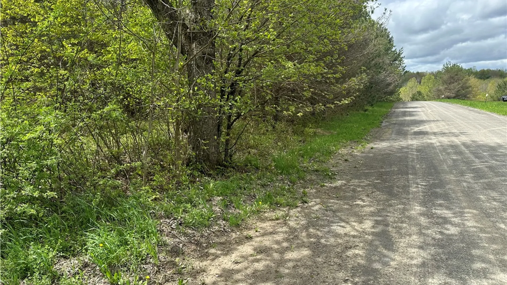 Property at 0 Pine Tree Road, Pittsfield, NY 13411 6