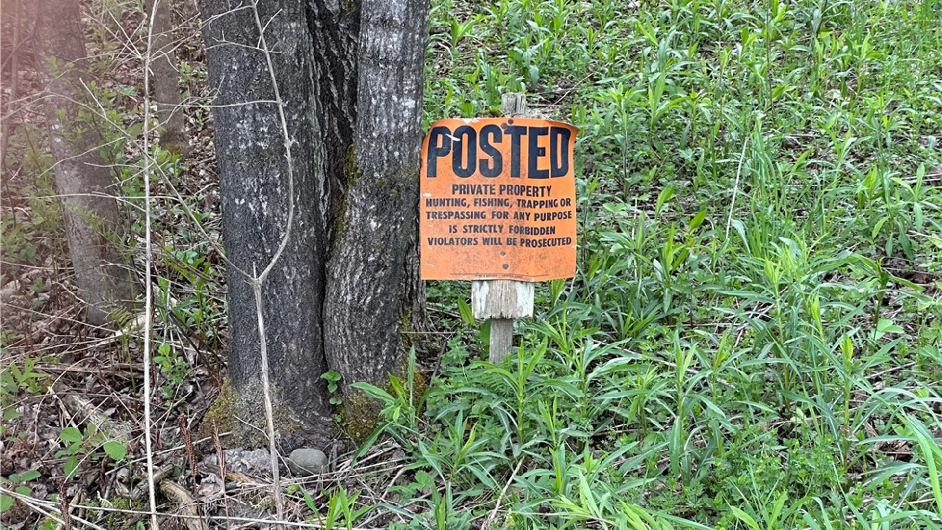 Property at 0 Pine Tree Road, Pittsfield, NY 13411 7