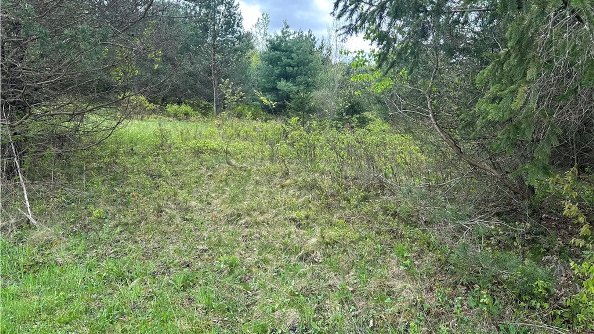 Property at 0 Pine Tree Road, Pittsfield, NY 13411 8