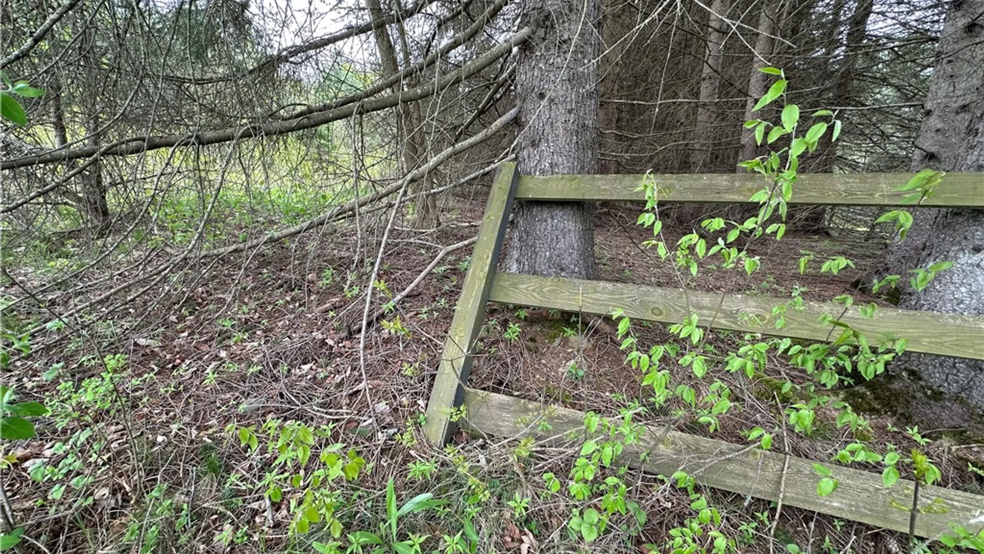 Property at 0 Pine Tree Road, Pittsfield, NY 13411 9