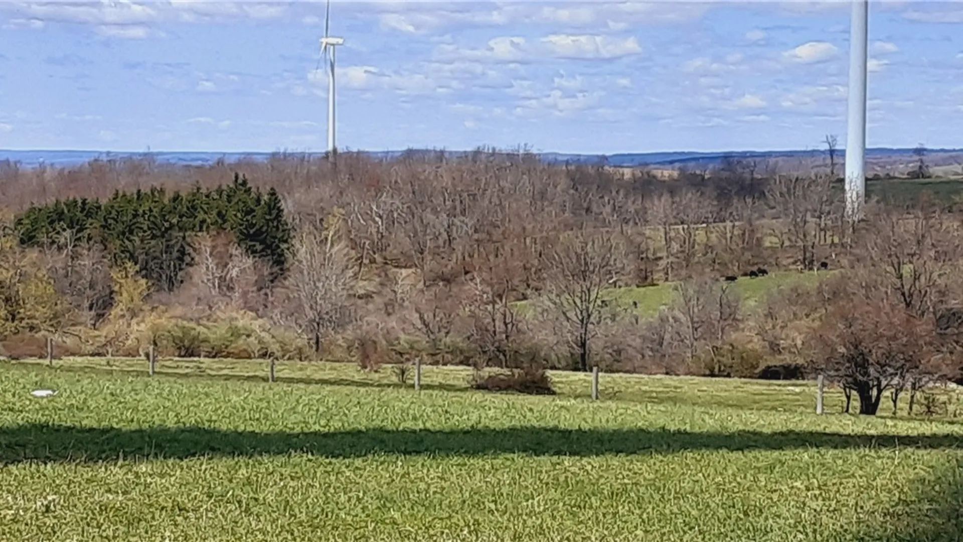 Property at 1325 State Route 170, Little Falls Town, NY 13406 11