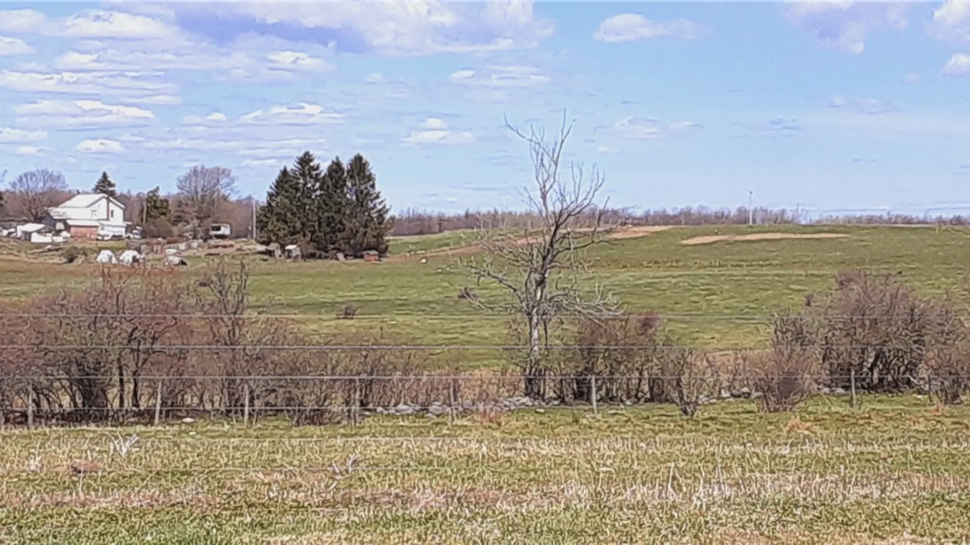 Property at 1325 State Route 170, Little Falls Town, NY 13406 5