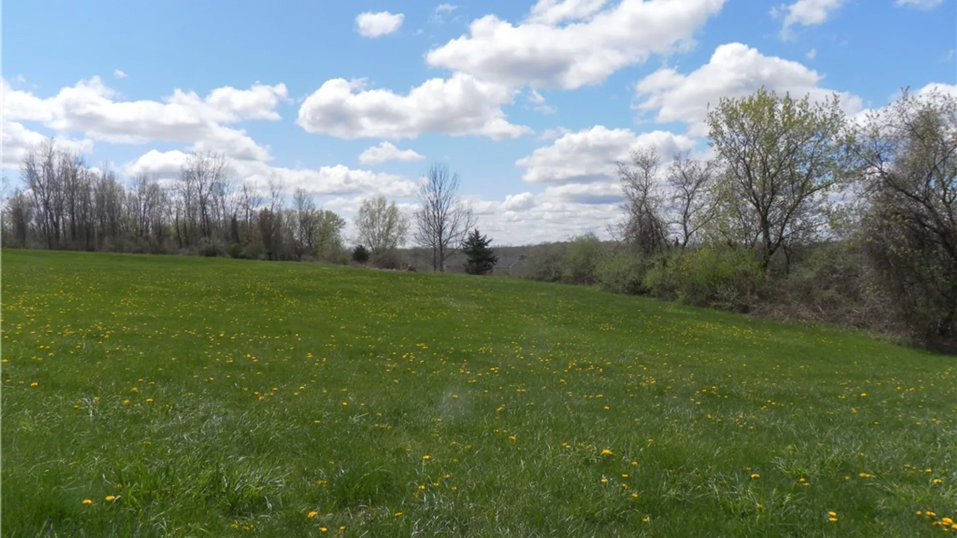 Property at Whitney Rd E, Perinton, NY 14450 2