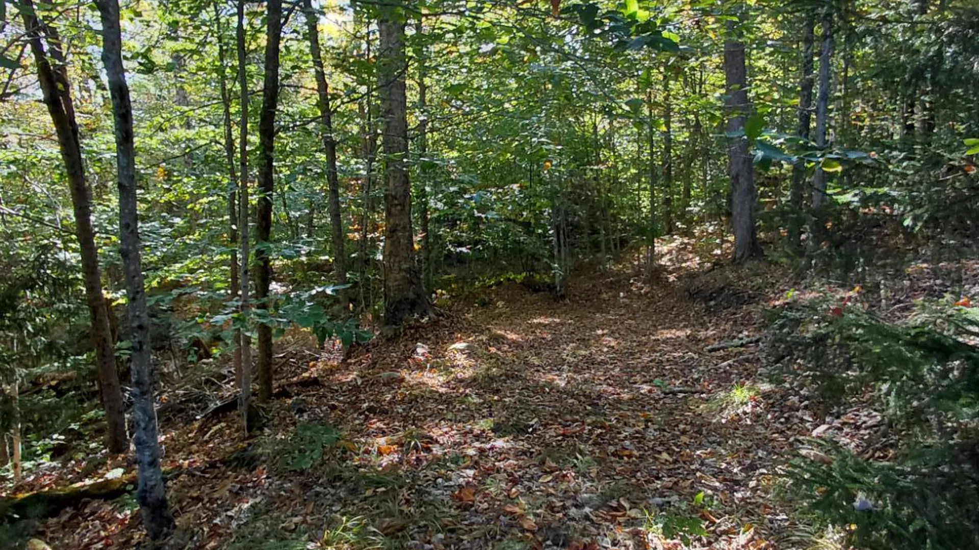 Property at 726 Stewart Landing Road, Stratford, NY 13470 37