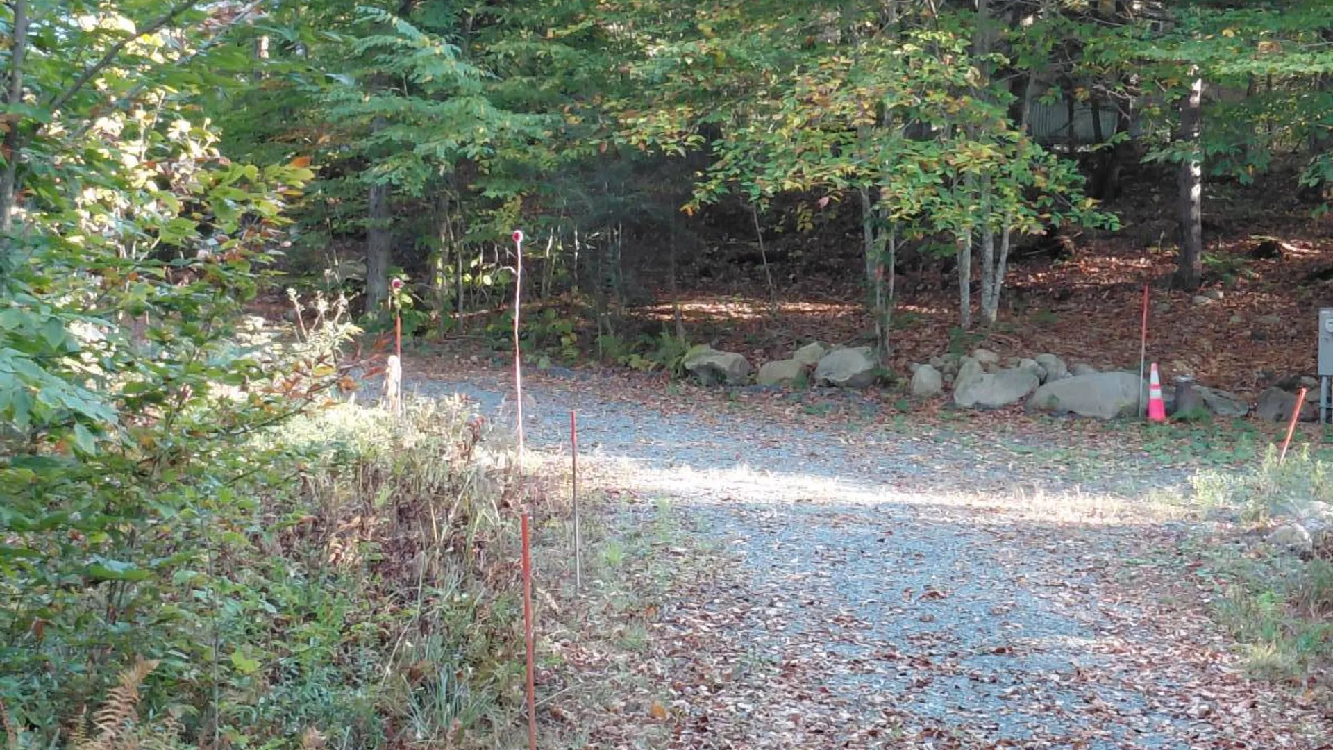 Property at 726 Stewart Landing Road, Stratford, NY 13470 6
