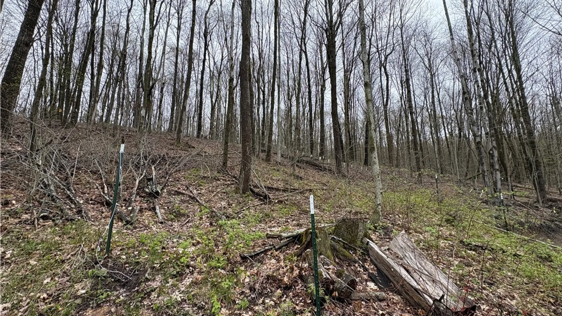Property at 0 County Rd 5, Genesee, NY 14715 16