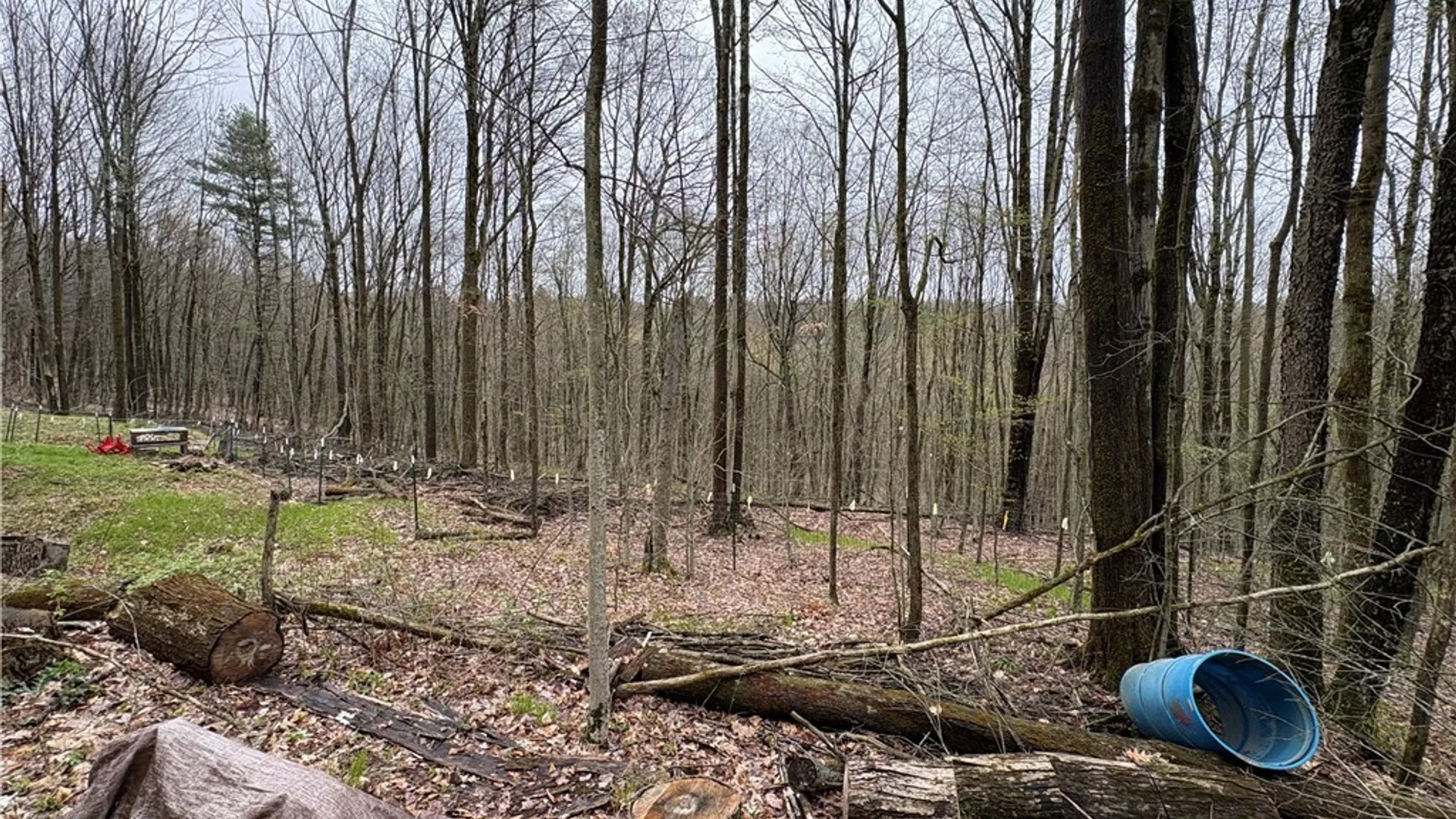 Property at 0 County Rd 5, Genesee, NY 14715 18