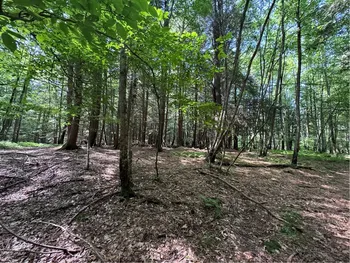 5757 State Highway 7, Oneonta, NY 13820