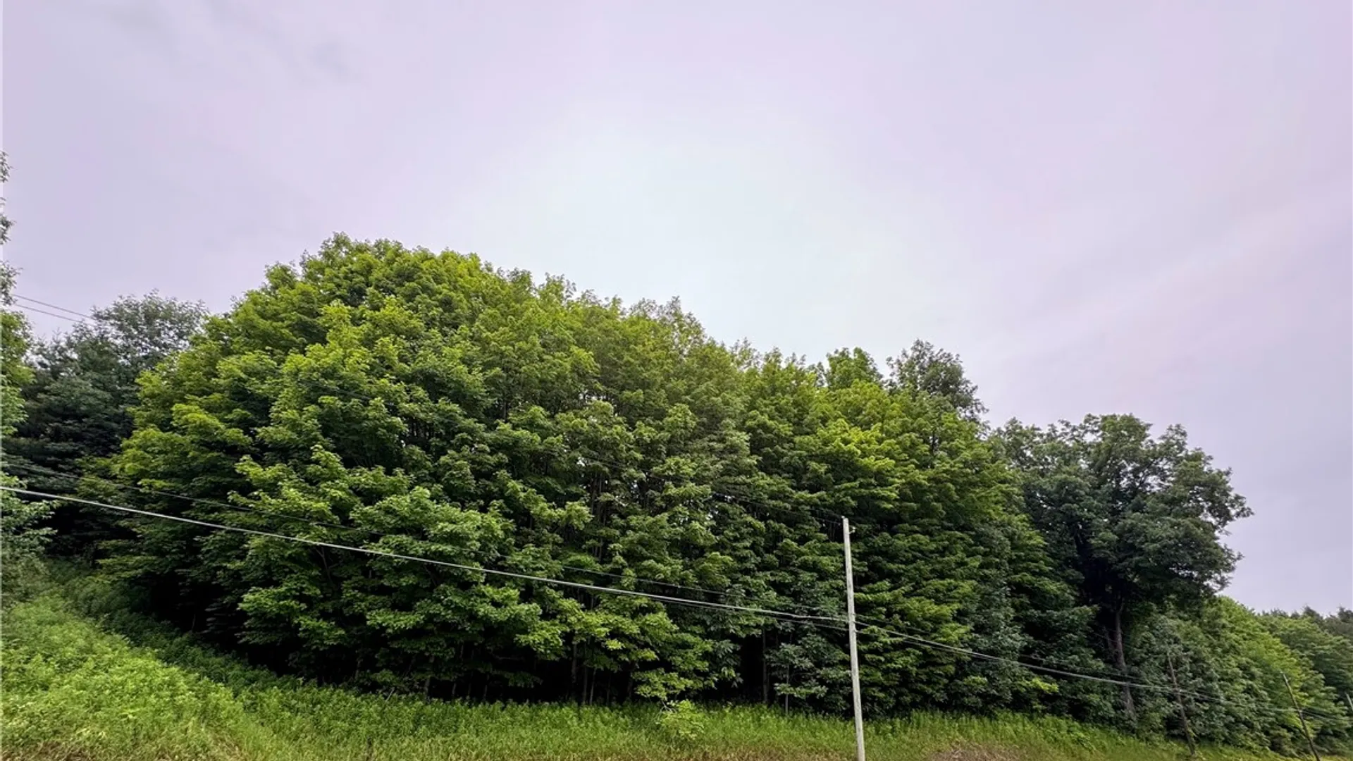 Property at 5757 State Highway 7, Oneonta, NY 13820 2