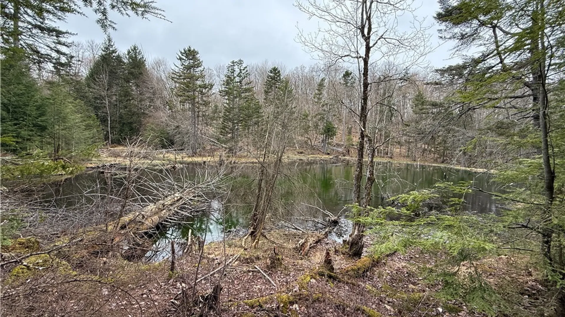 Property at 10547 Sulphur Spr Road, Lee, NY 13440 3