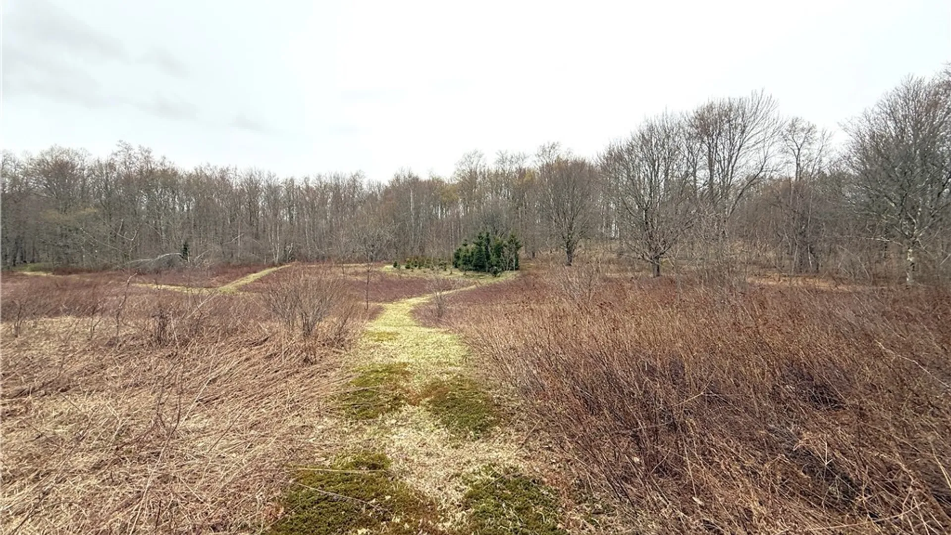 Property at 10547 Sulphur Spr Road, Lee, NY 13440 36