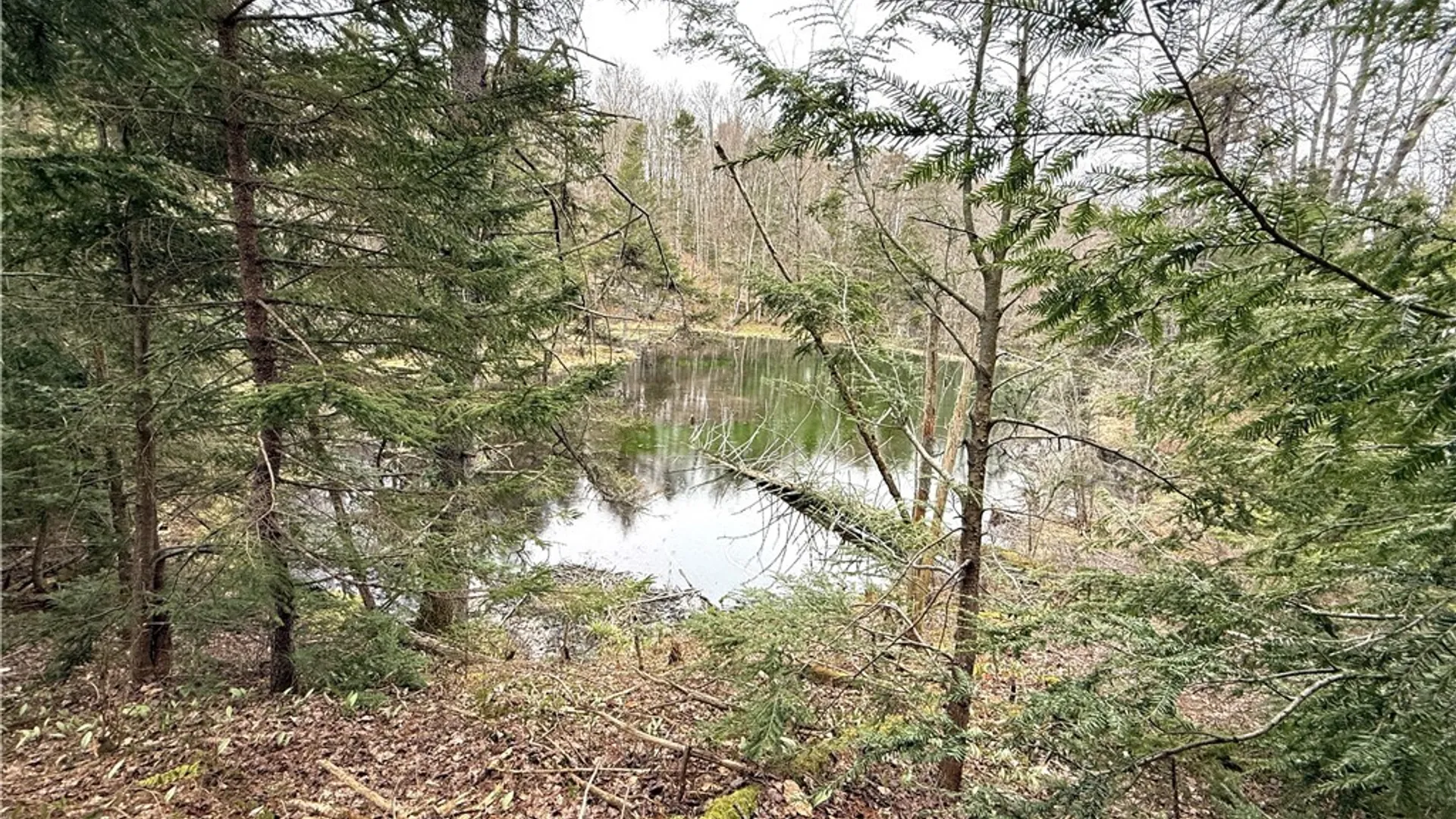Property at 10547 Sulphur Spr Road, Lee, NY 13440 37