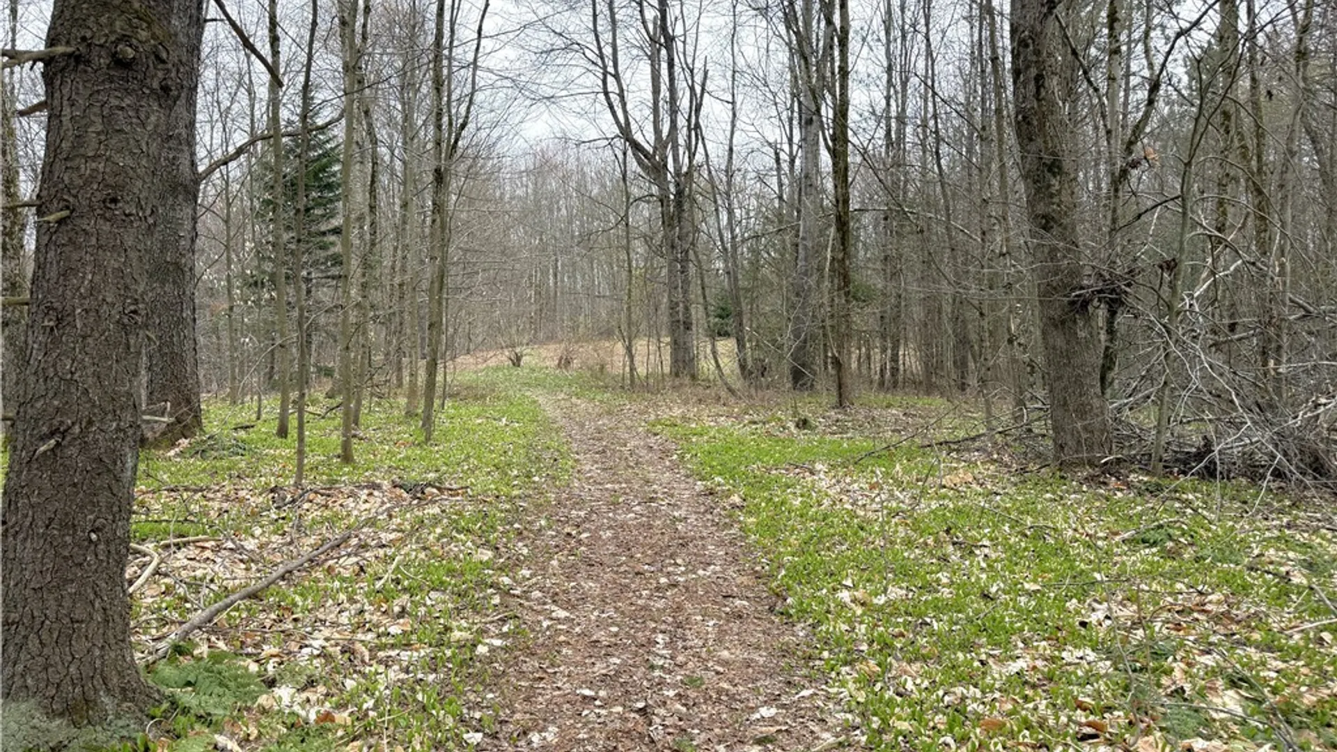 Property at 10547 Sulphur Spr Road, Lee, NY 13440 39