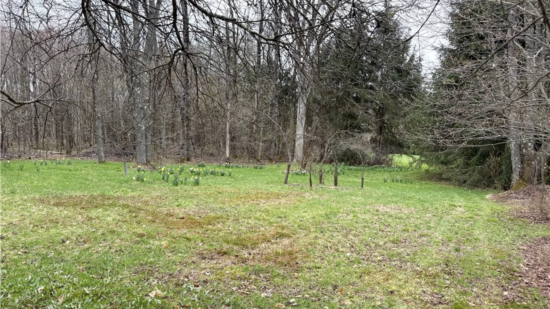 Property at 10547 Sulphur Spr Road, Lee, NY 13440 40