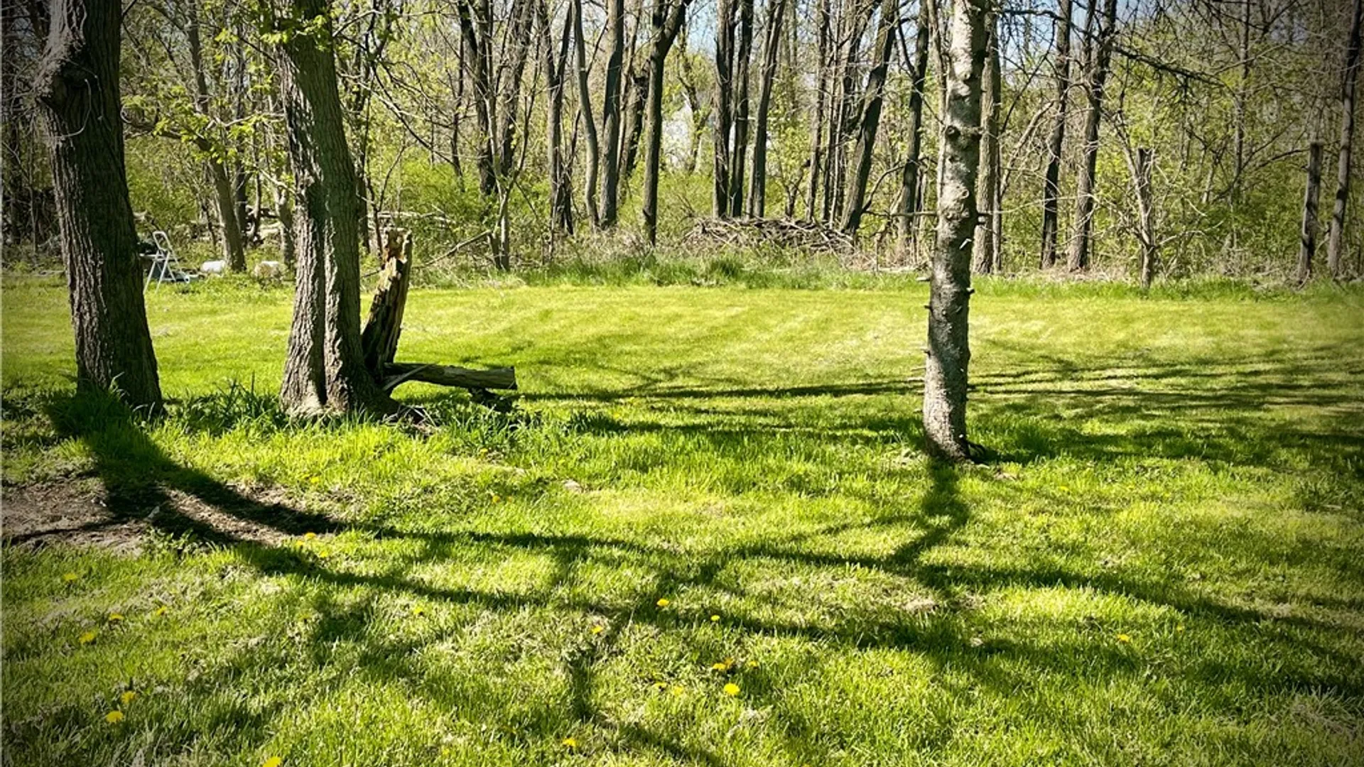 Property at 69 Chapman Avenue, Auburn, NY 13021 28