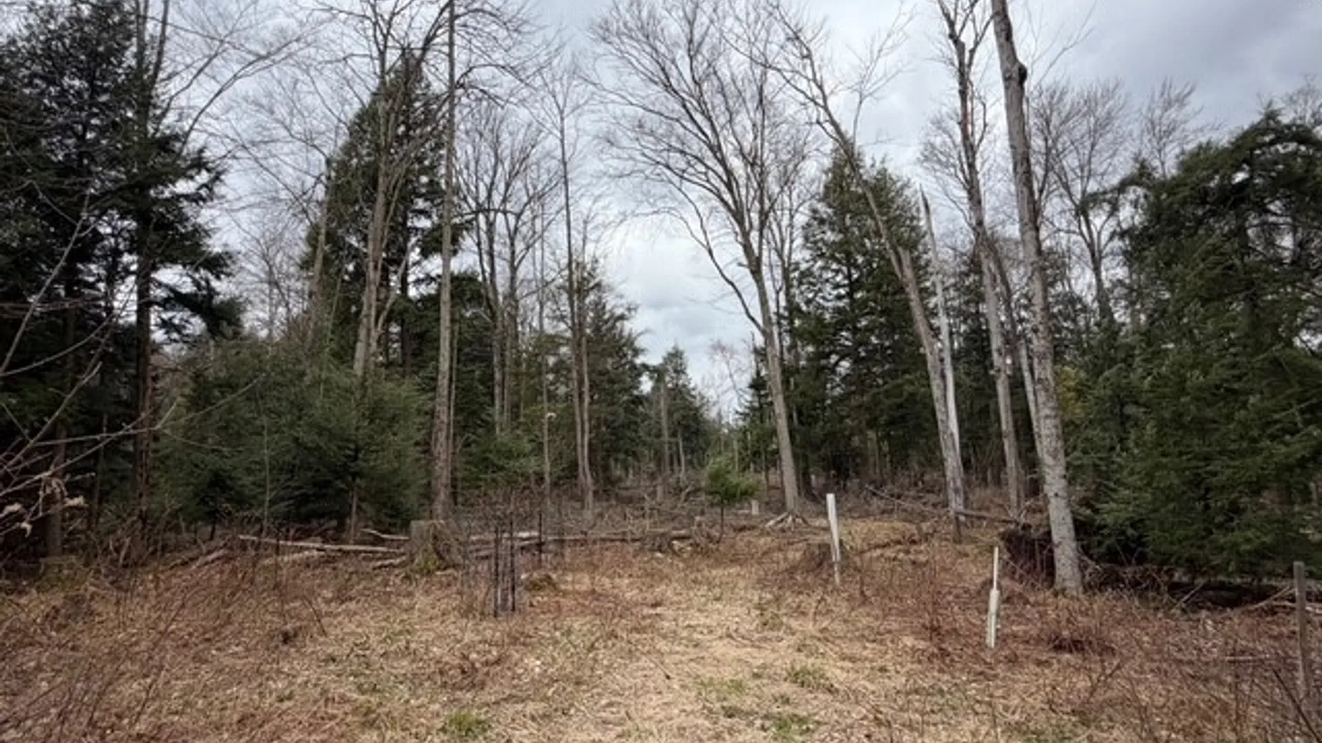 Property at Pritchard Road, Concord, NY 14141 11