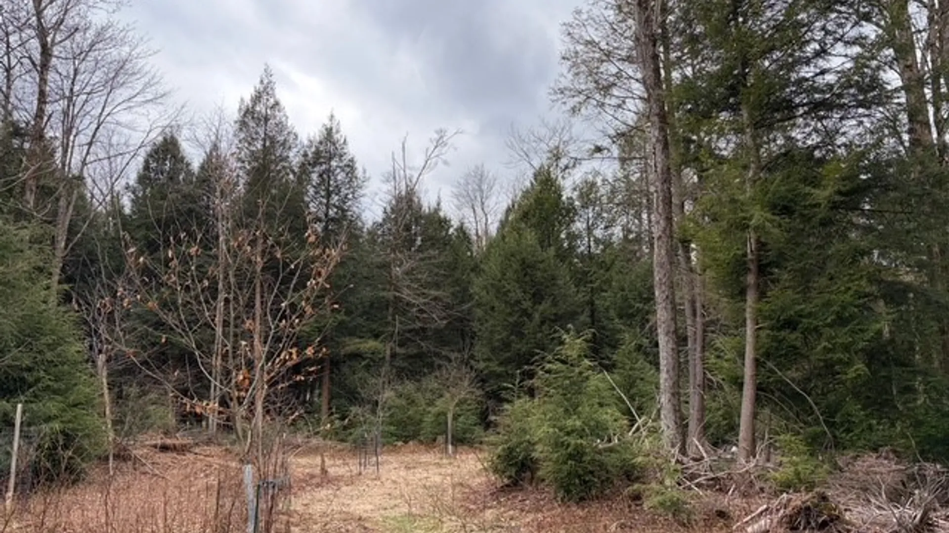 Property at Pritchard Road, Concord, NY 14141 12