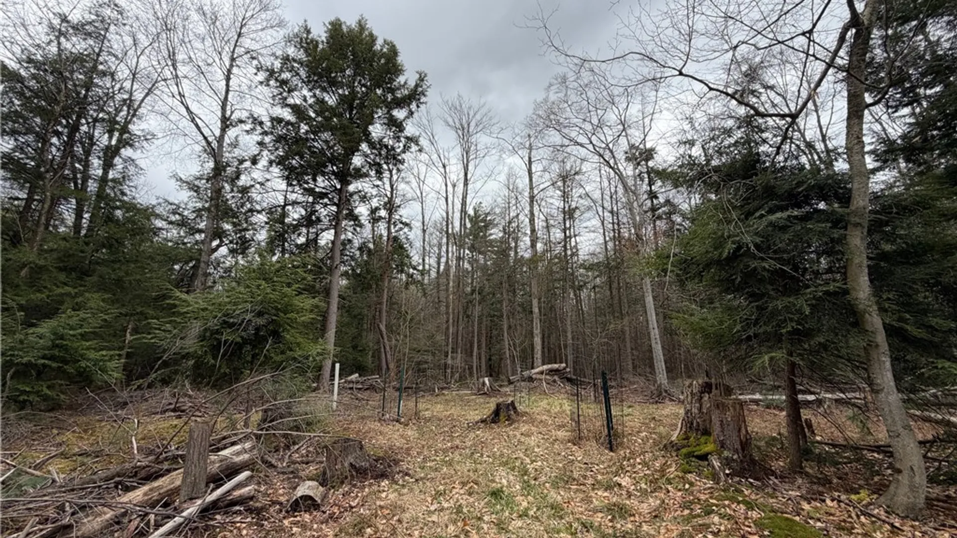 Property at Pritchard Road, Concord, NY 14141 14