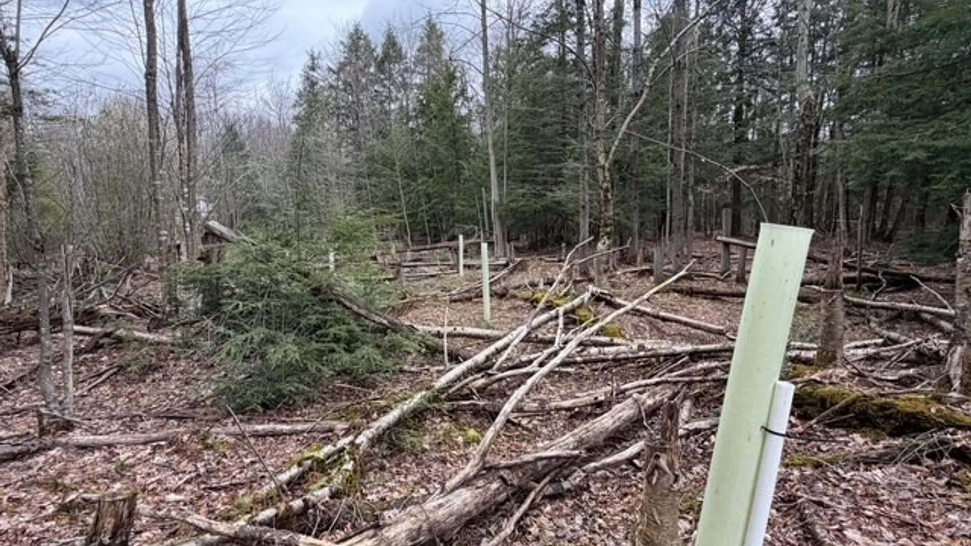 Property at Pritchard Road, Concord, NY 14141 15