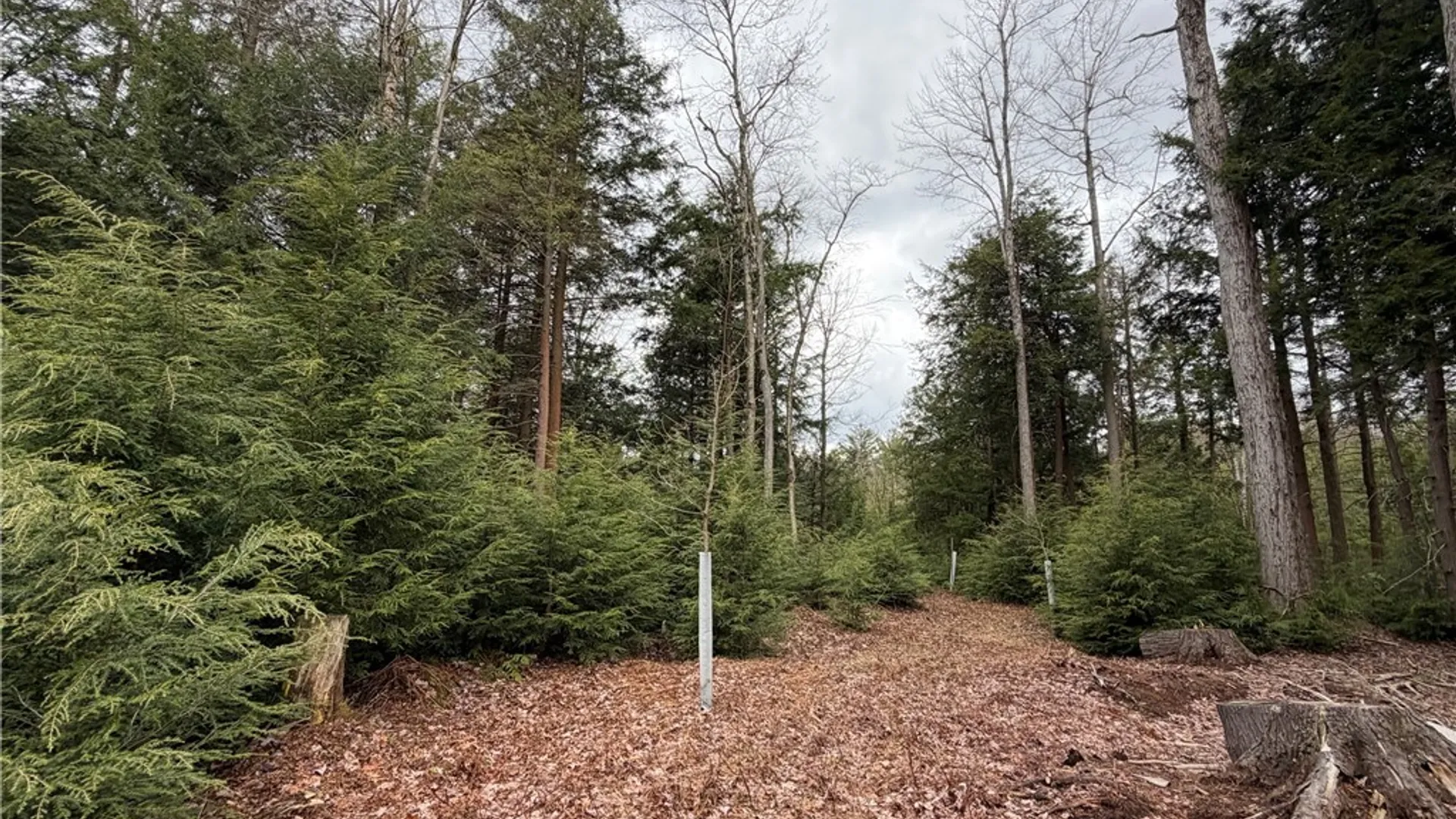 Property at Pritchard Road, Concord, NY 14141 16