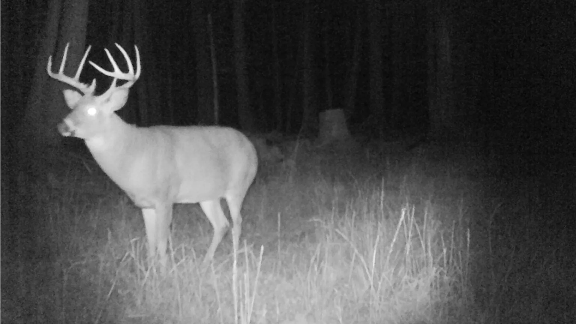 Property at Pritchard Road, Concord, NY 14141 2