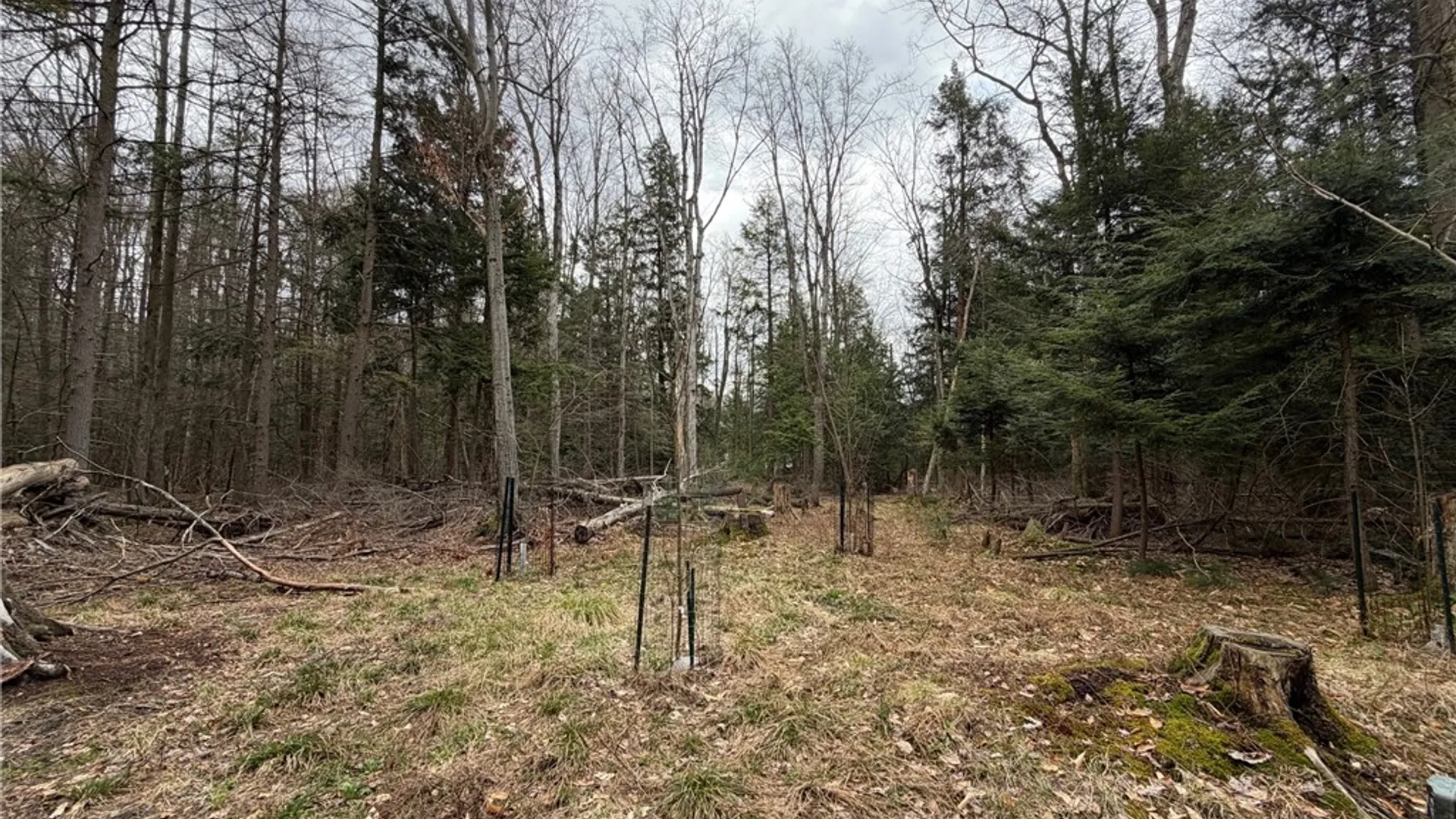 Property at Pritchard Road, Concord, NY 14141 23