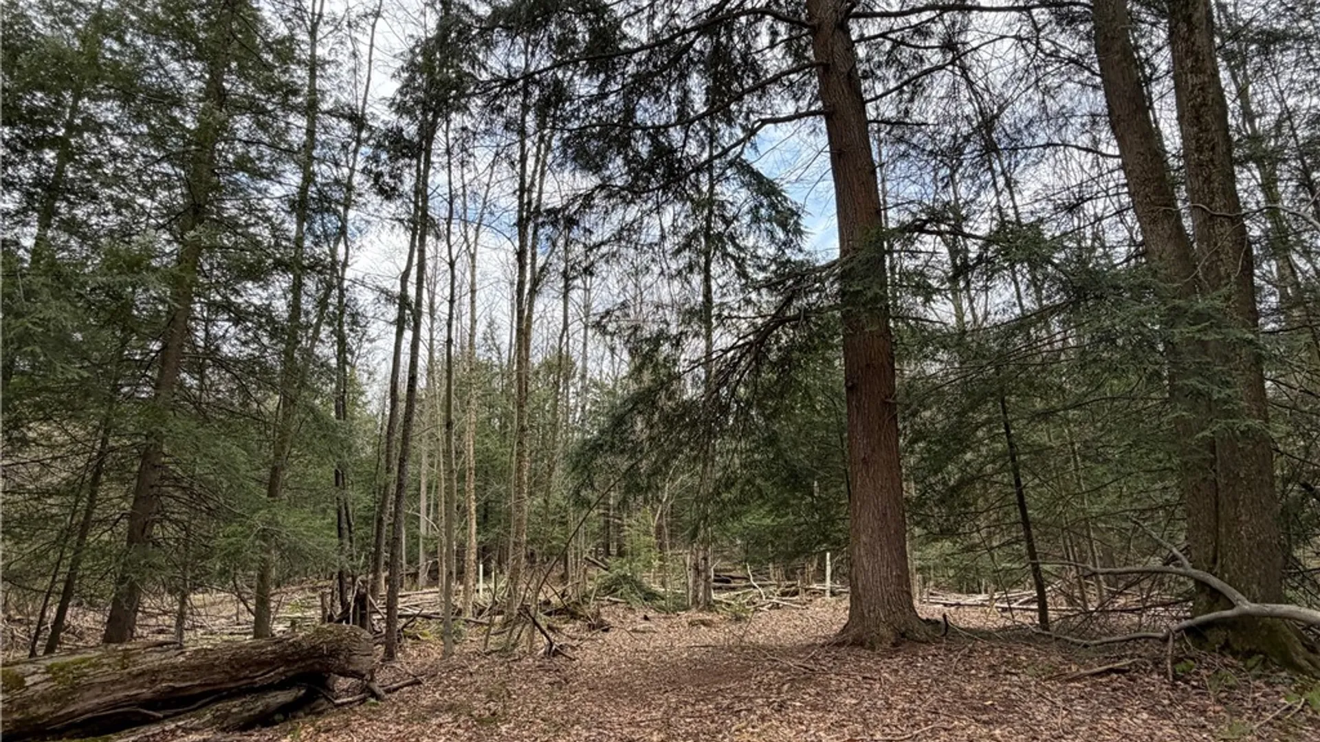 Property at Pritchard Road, Concord, NY 14141 3