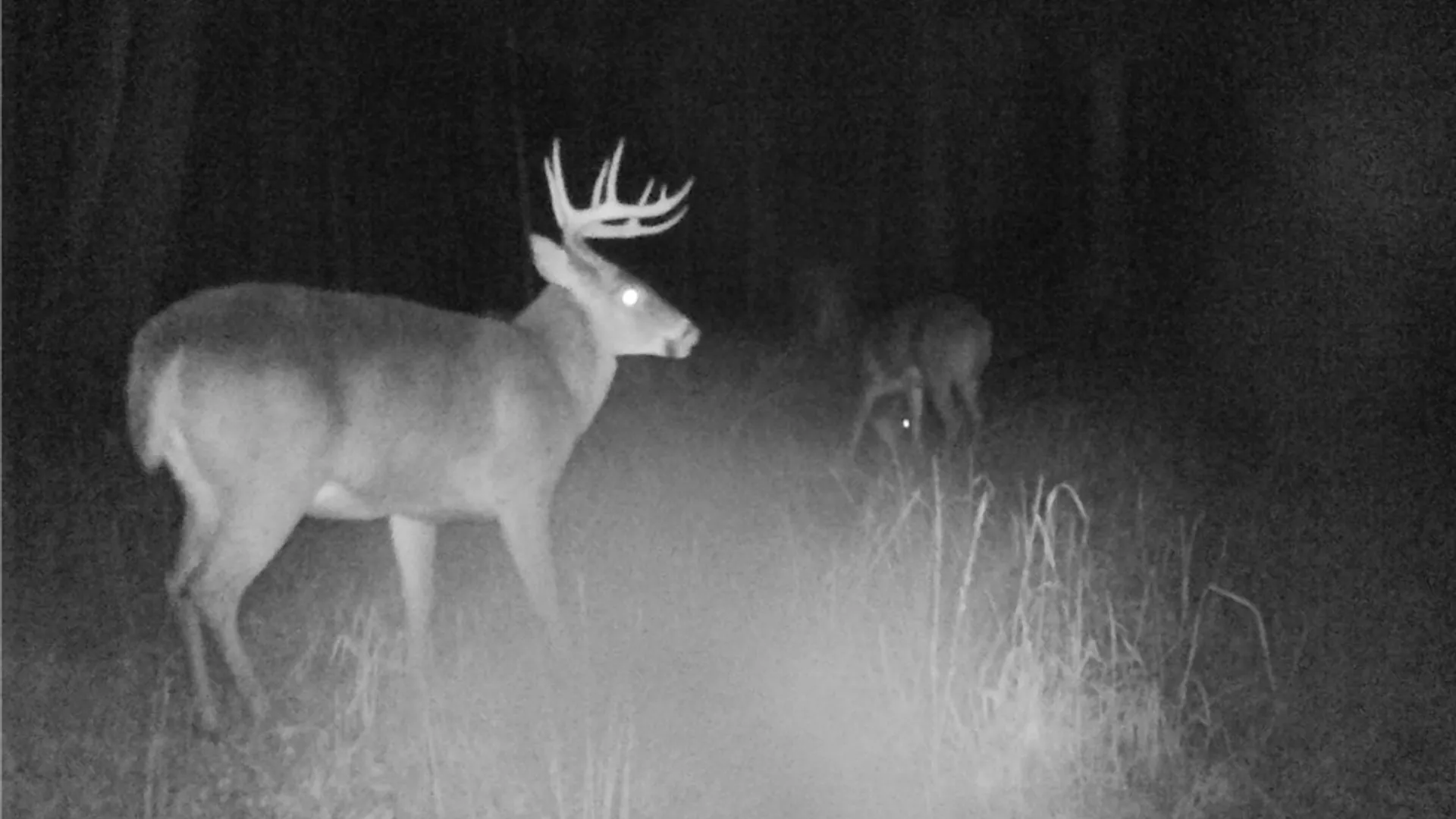 Property at Pritchard Road, Concord, NY 14141 4