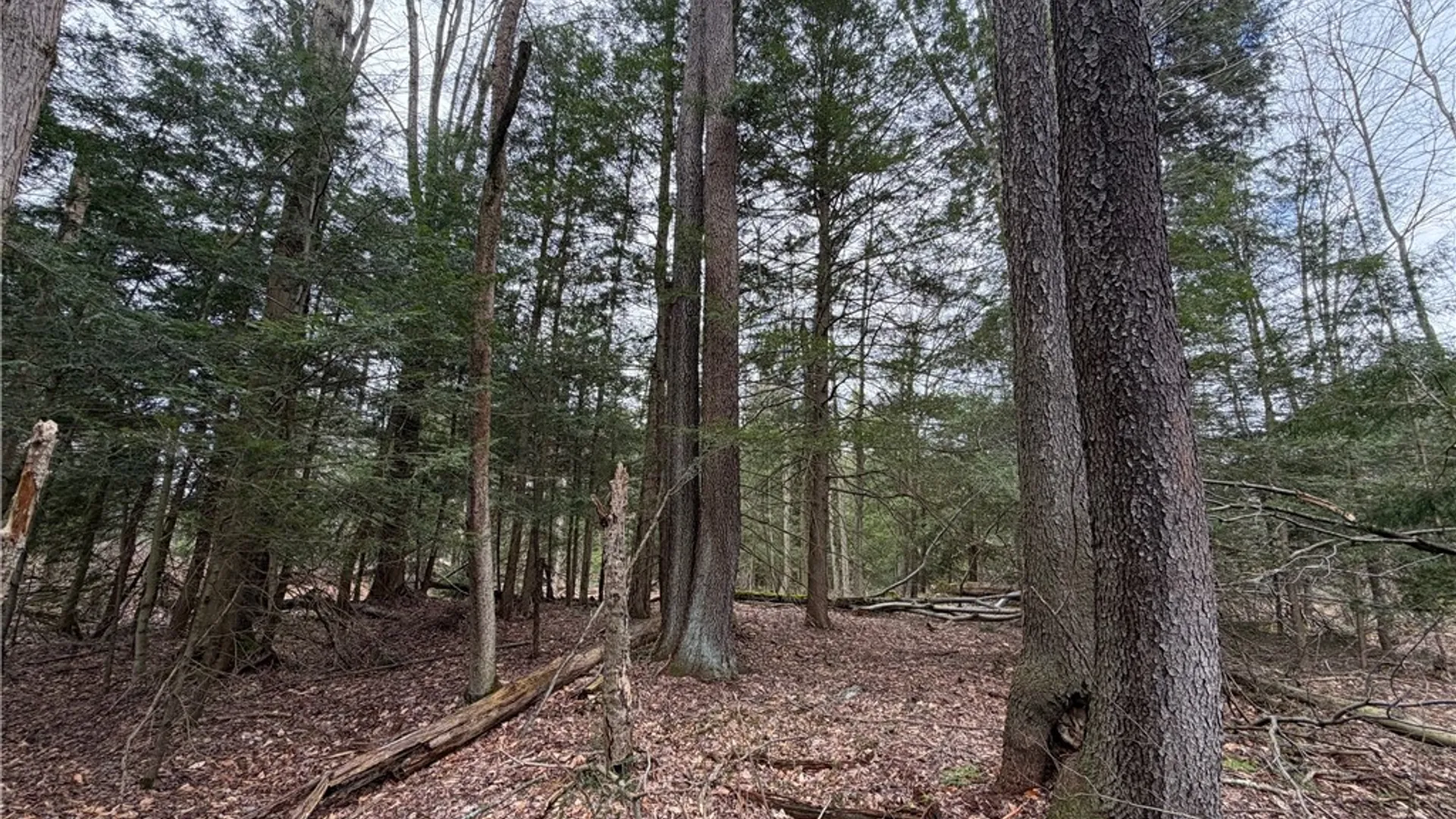 Property at Pritchard Road, Concord, NY 14141 5