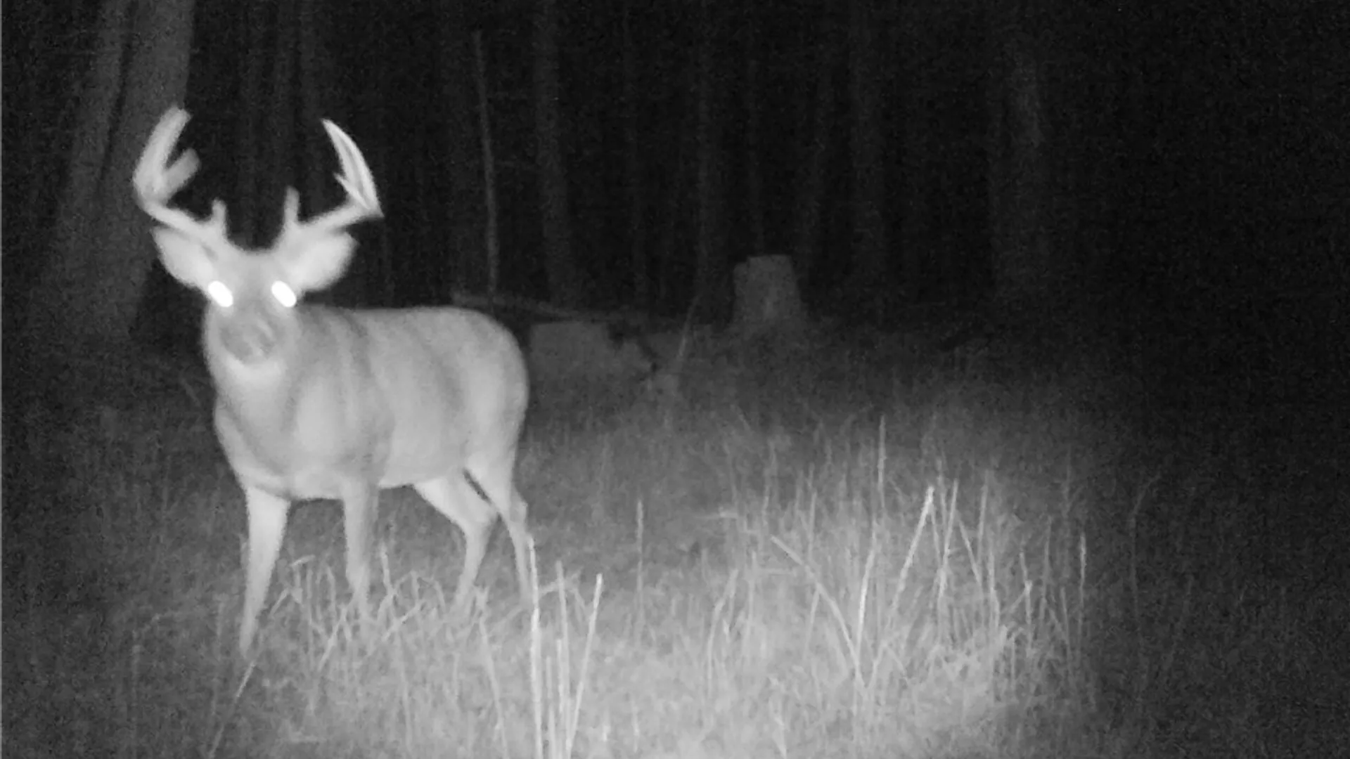 Property at Pritchard Road, Concord, NY 14141 6