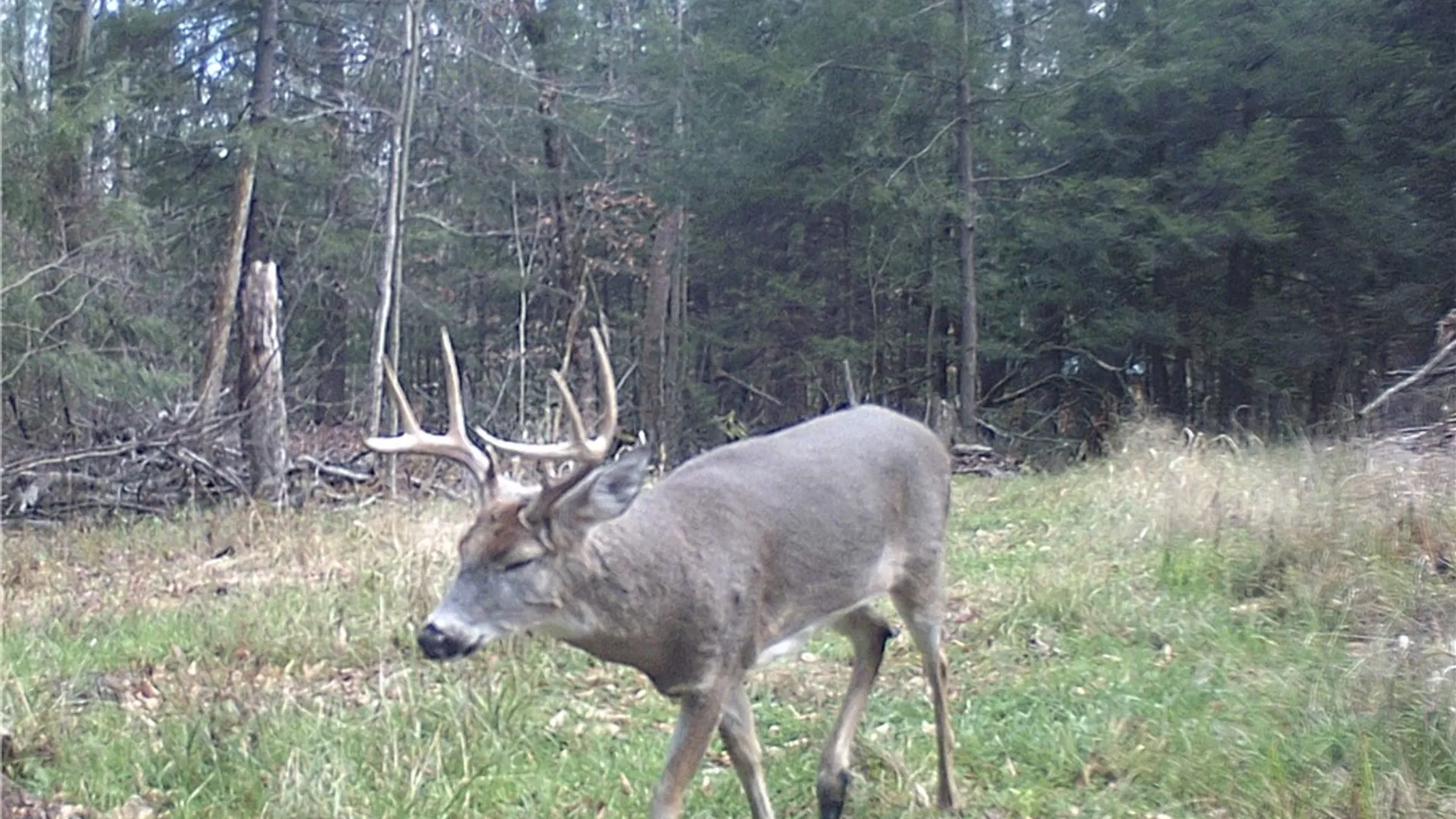 Property at Pritchard Road, Concord, NY 14141 8