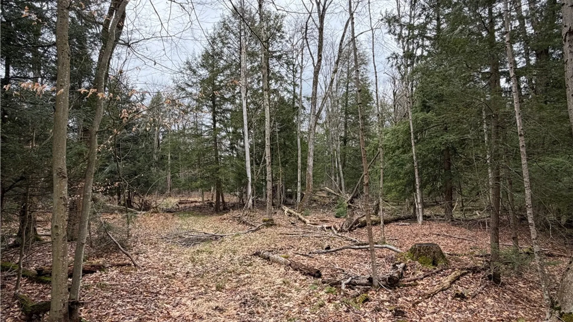 Property at Pritchard Road, Concord, NY 14141 9