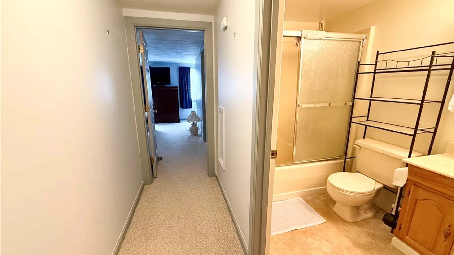 Property at 32 Willard Avenue, Geneva City, NY 14456 24