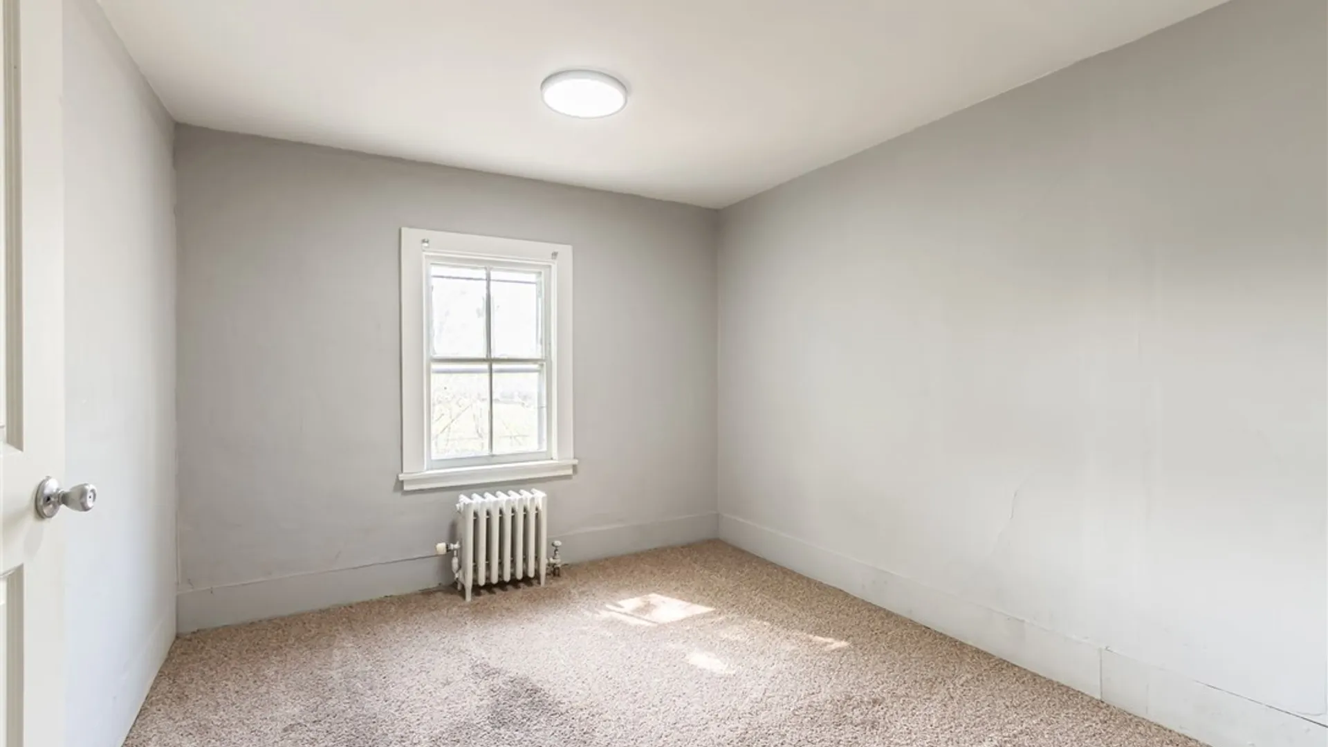 Property at 13 Burrall Avenue, Geneva City, NY 14456 18