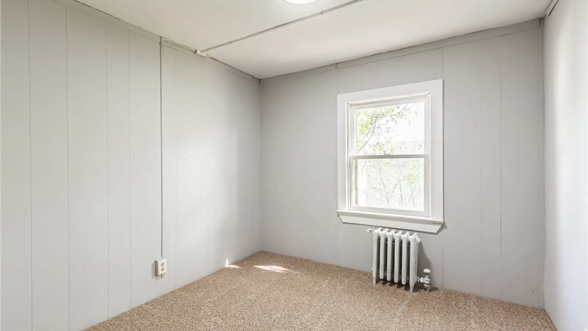 Property at 13 Burrall Avenue, Geneva City, NY 14456 19