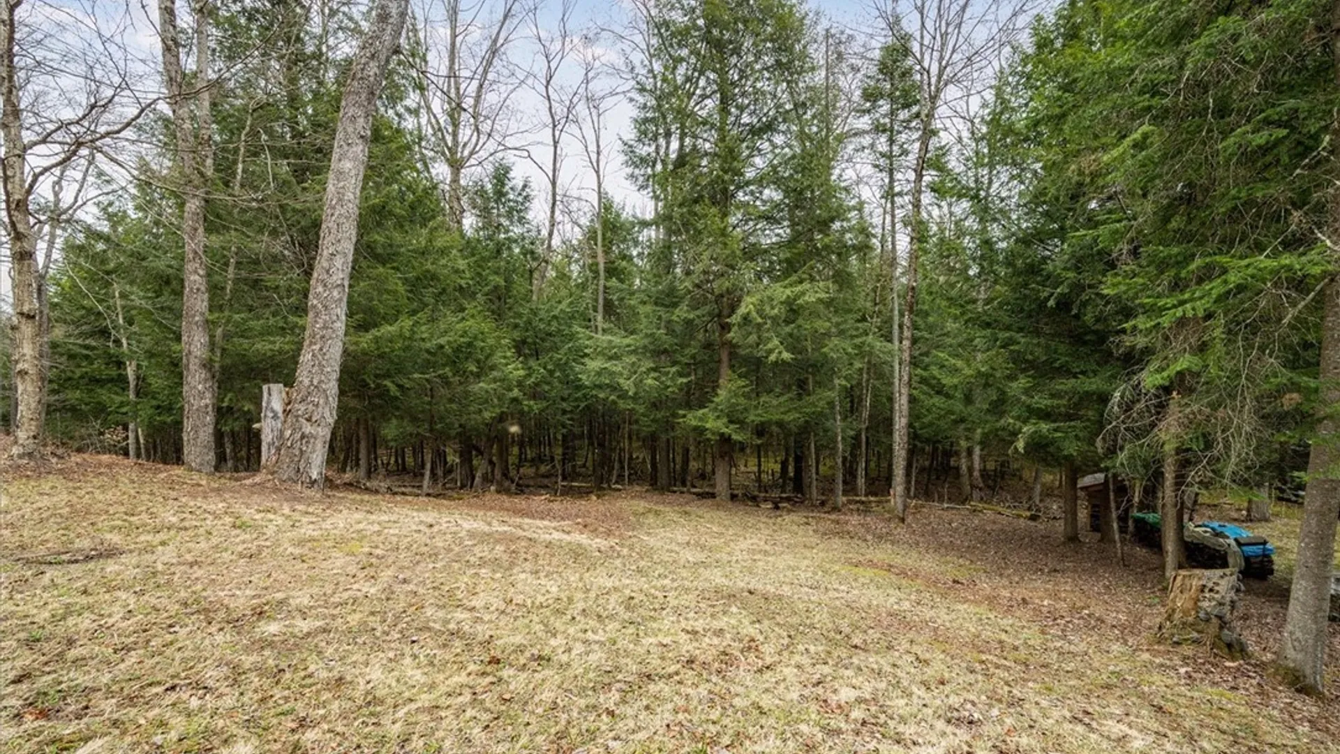 Property at 113 Spruce Road, Forestport, NY 13494 38