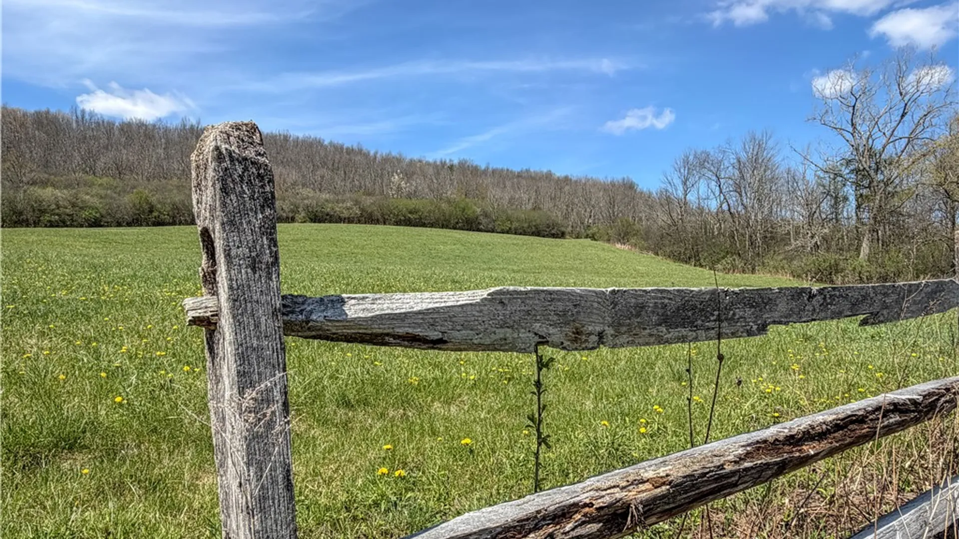 Property at VL WP01 County Road 16, Angelica, NY 14709 2