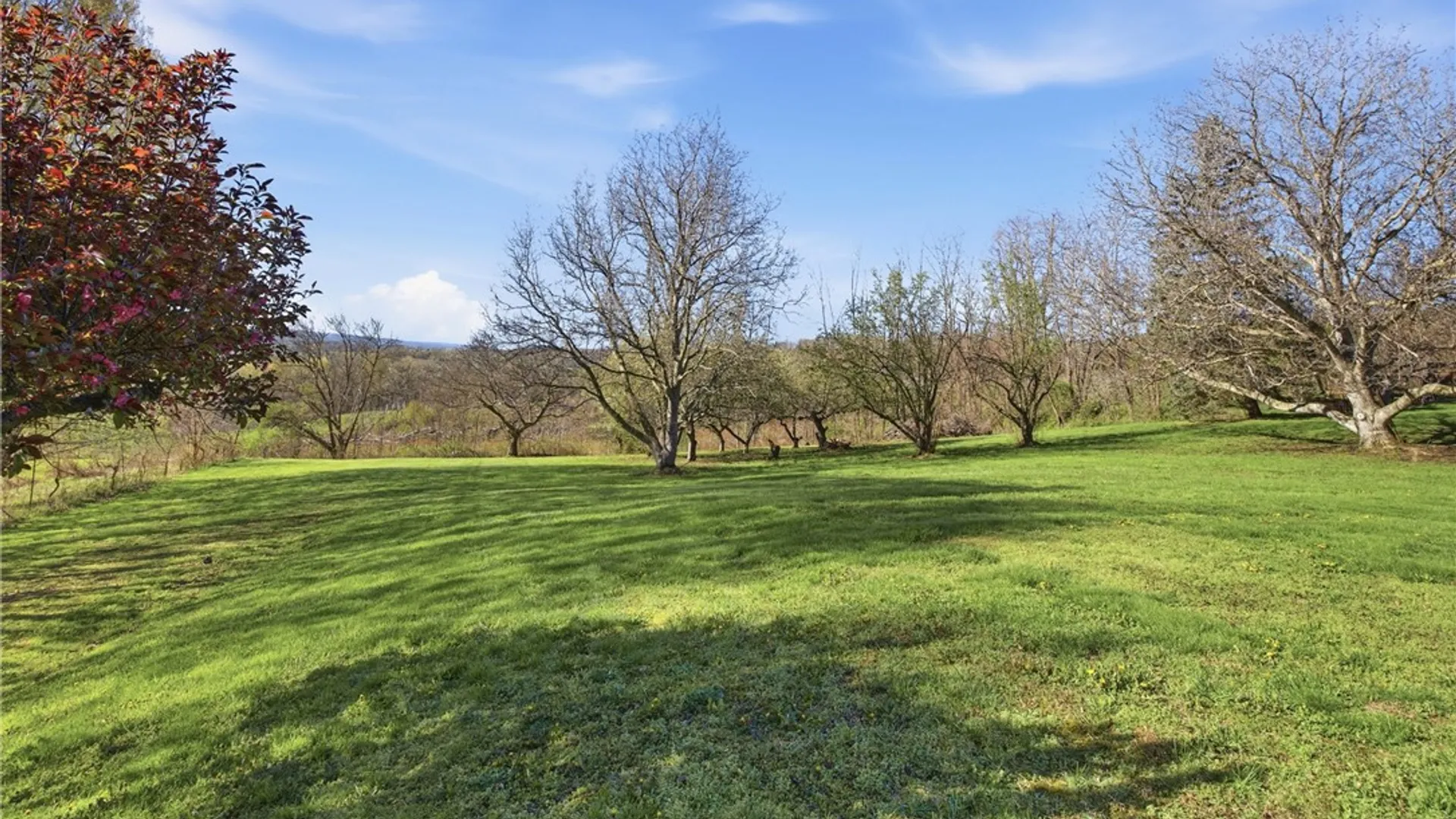 Property at 2977 Williams Hill Road, Jerusalem, NY 14478 45